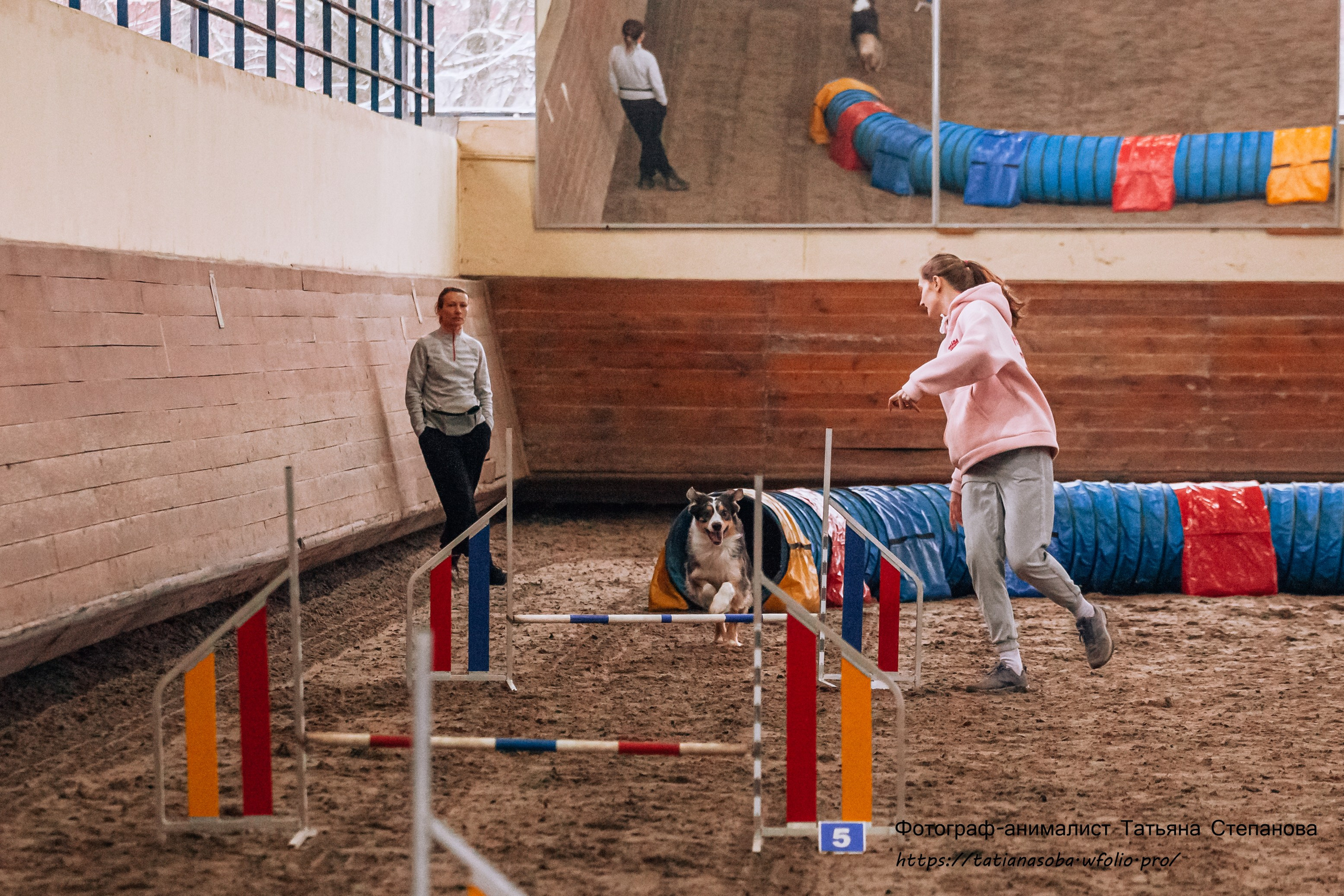 Соревнования по Аджилити 25.02.2024. Фотограф-анималист Татьяна Степанова
