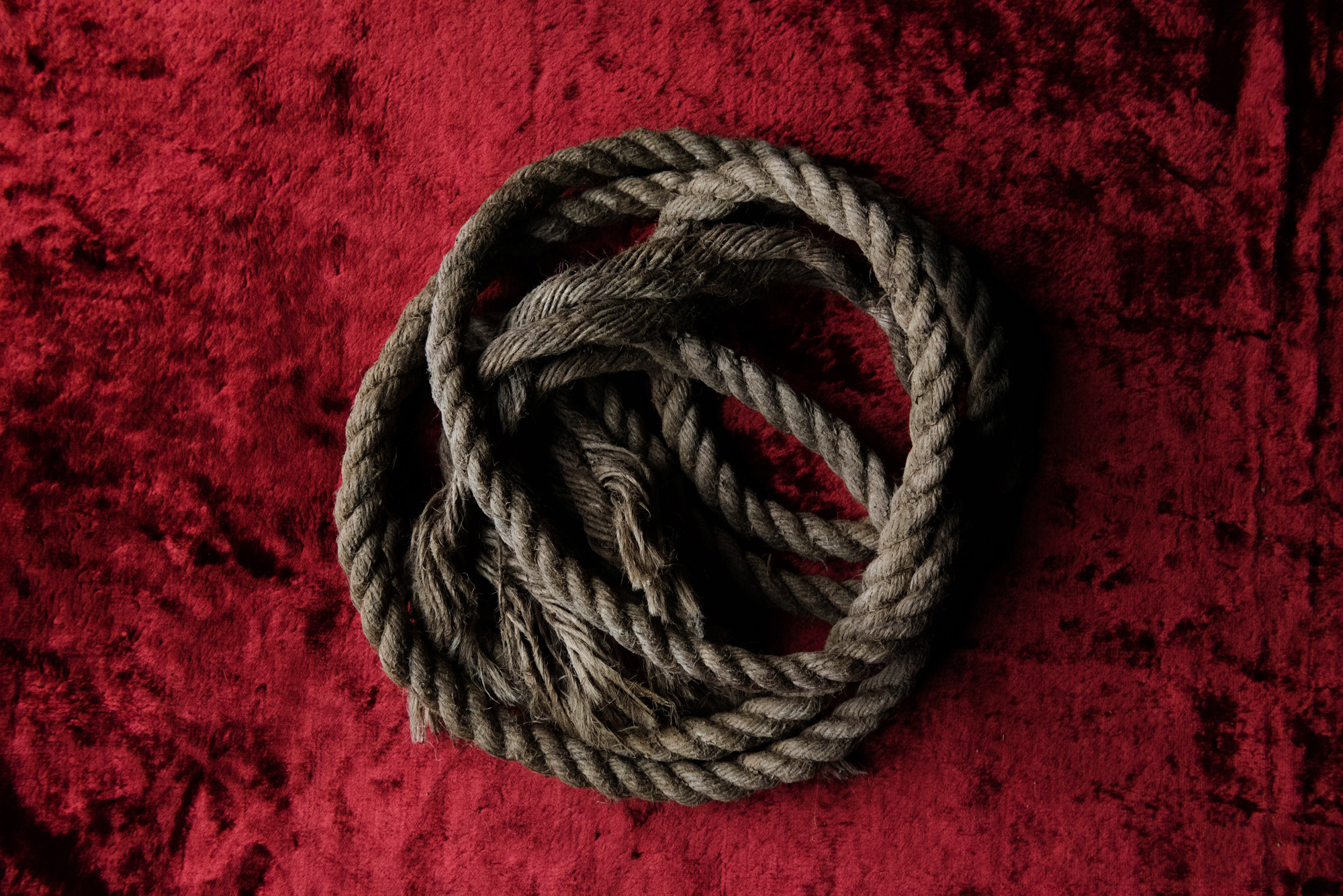 Evidence. Olga Skvortsova