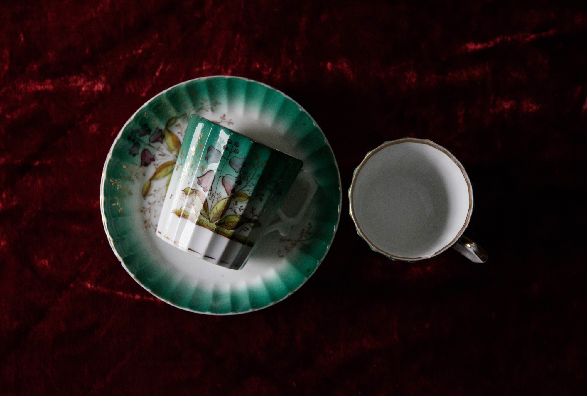 Evidence. Olga Skvortsova