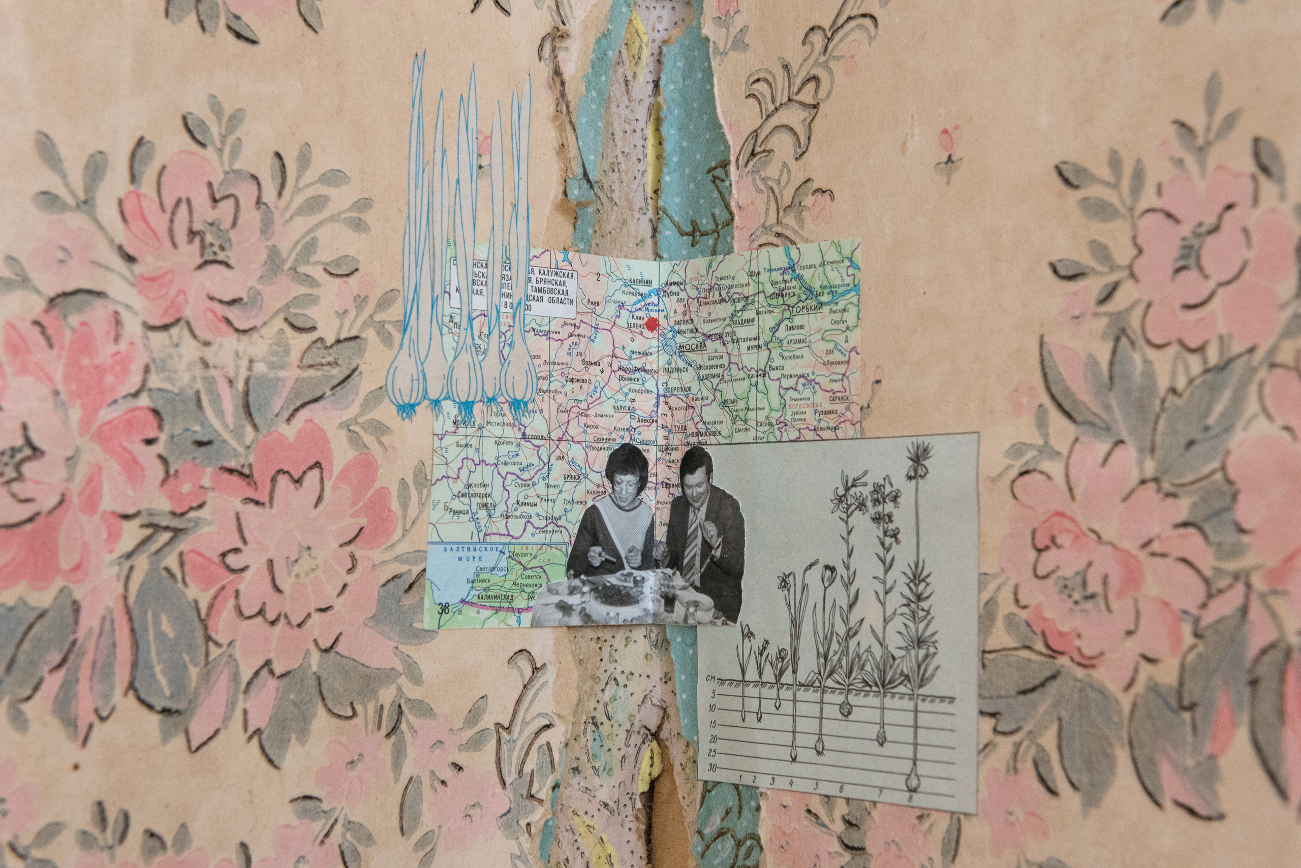 Attic. Olga Skvortsova