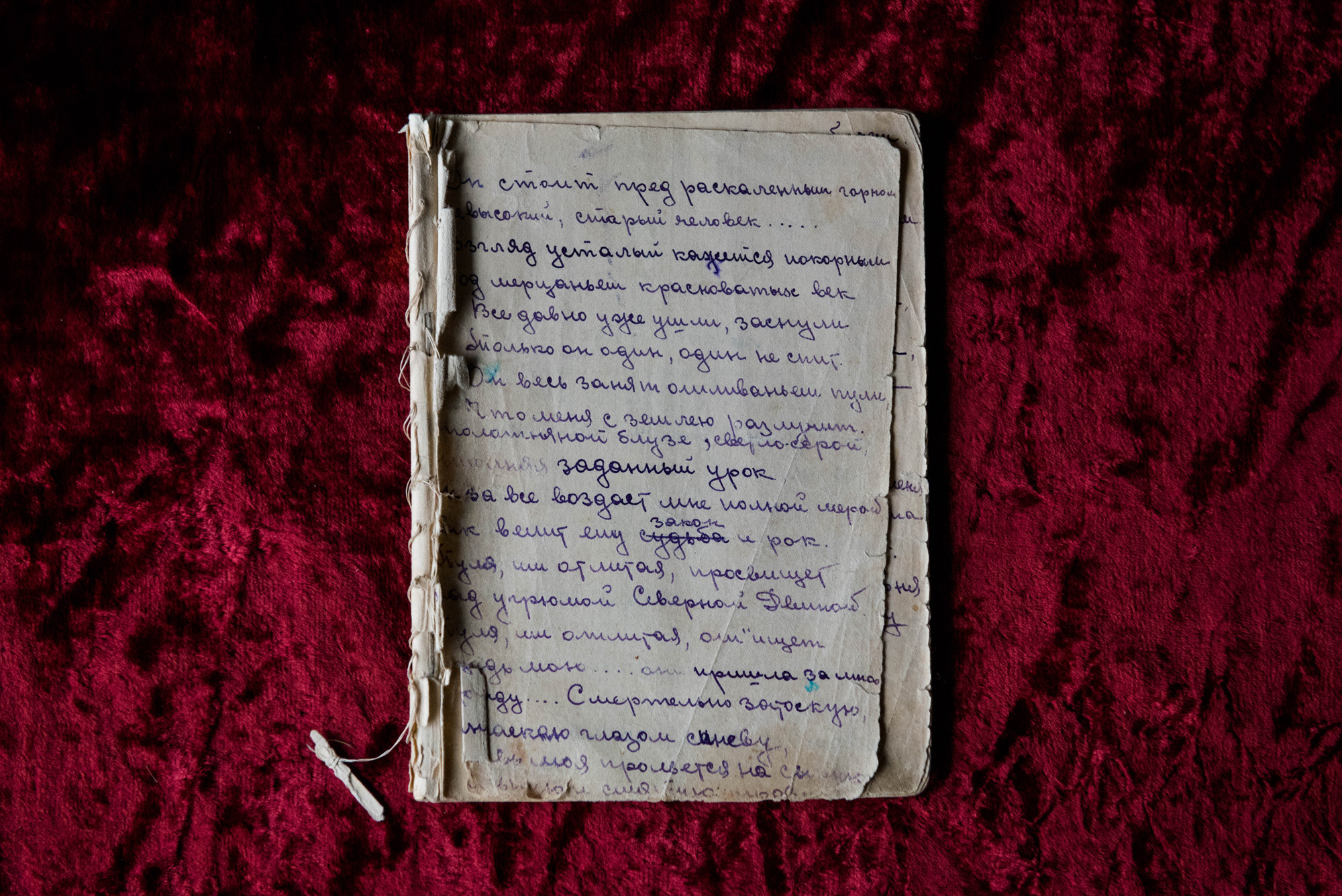 Evidence. Olga Skvortsova