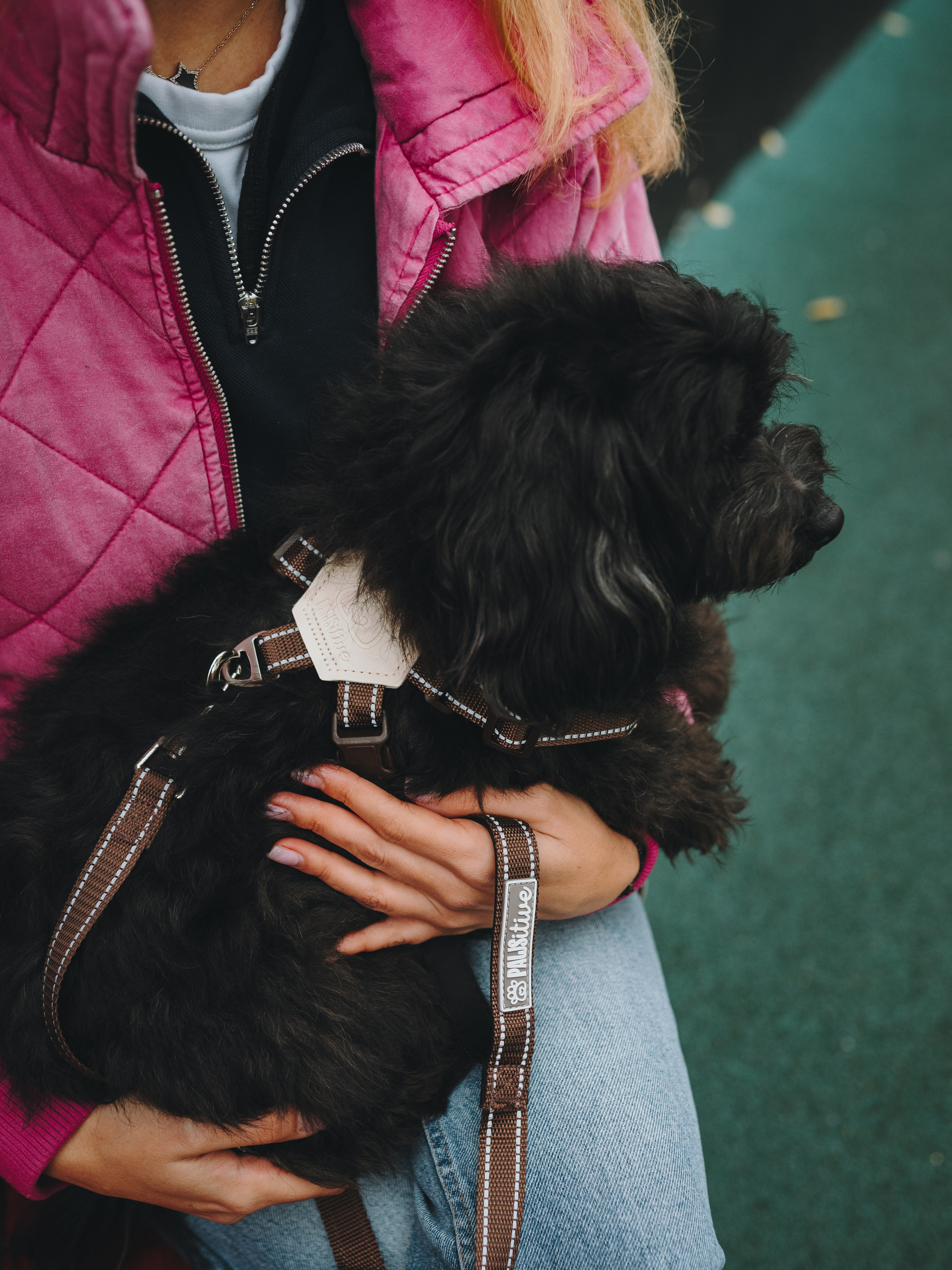 Pawsitive. Семейный фотограф анималист Ананьева Мария — Москва