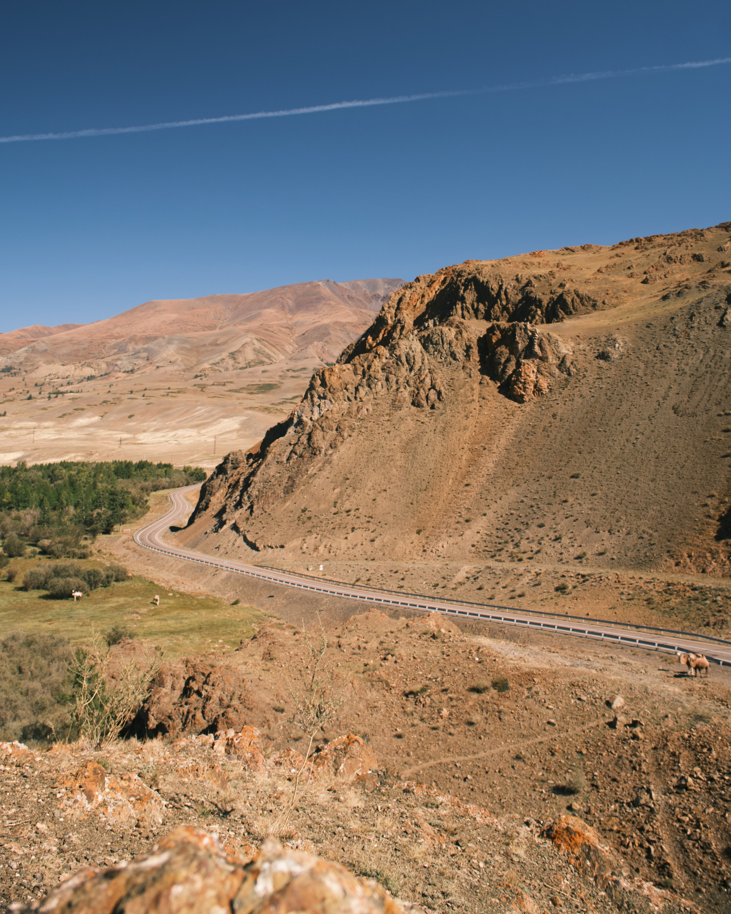 Природа. Антон Ив