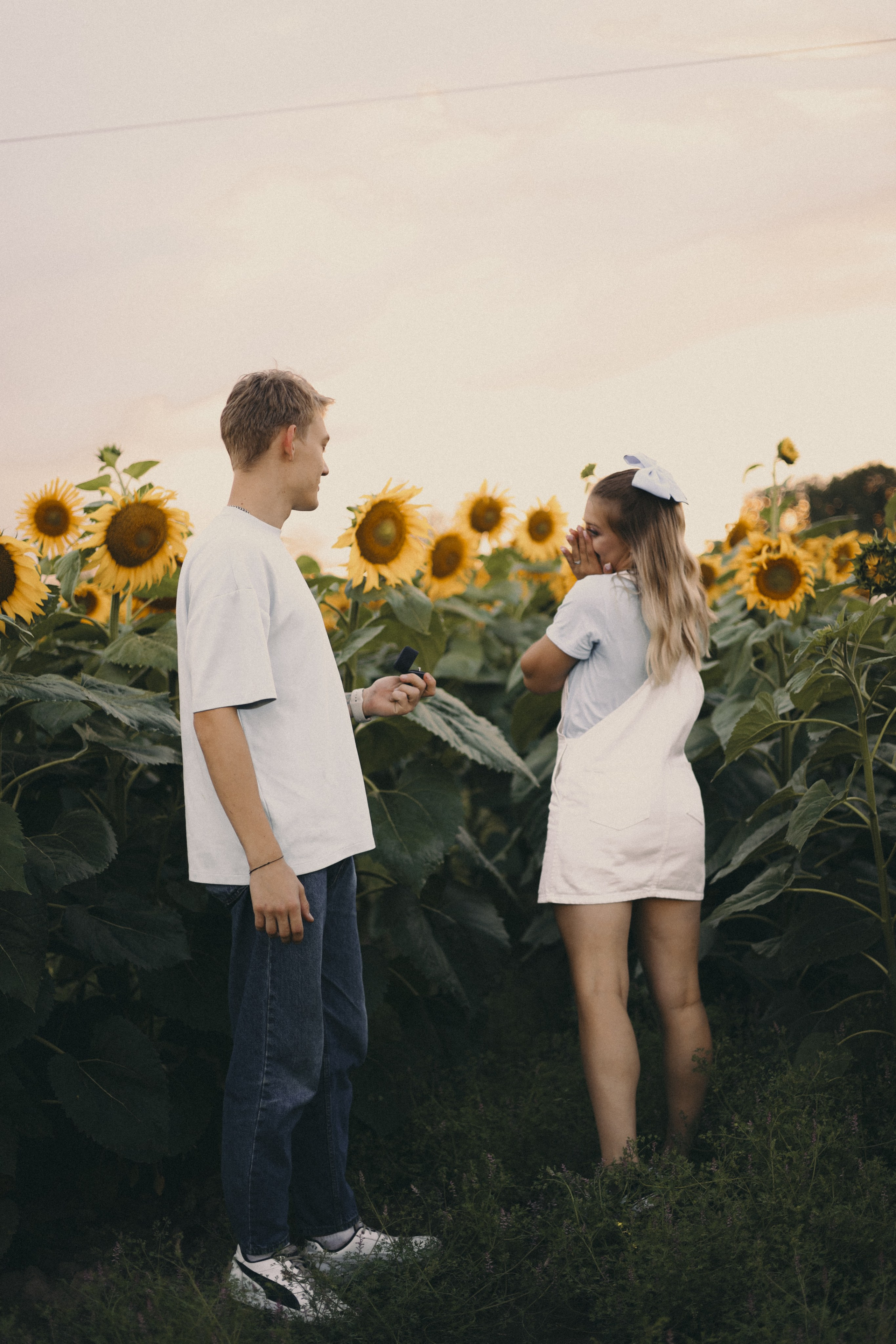 Михаил и Валерия | Подсолнухи. Фотограф Мария Лаенко