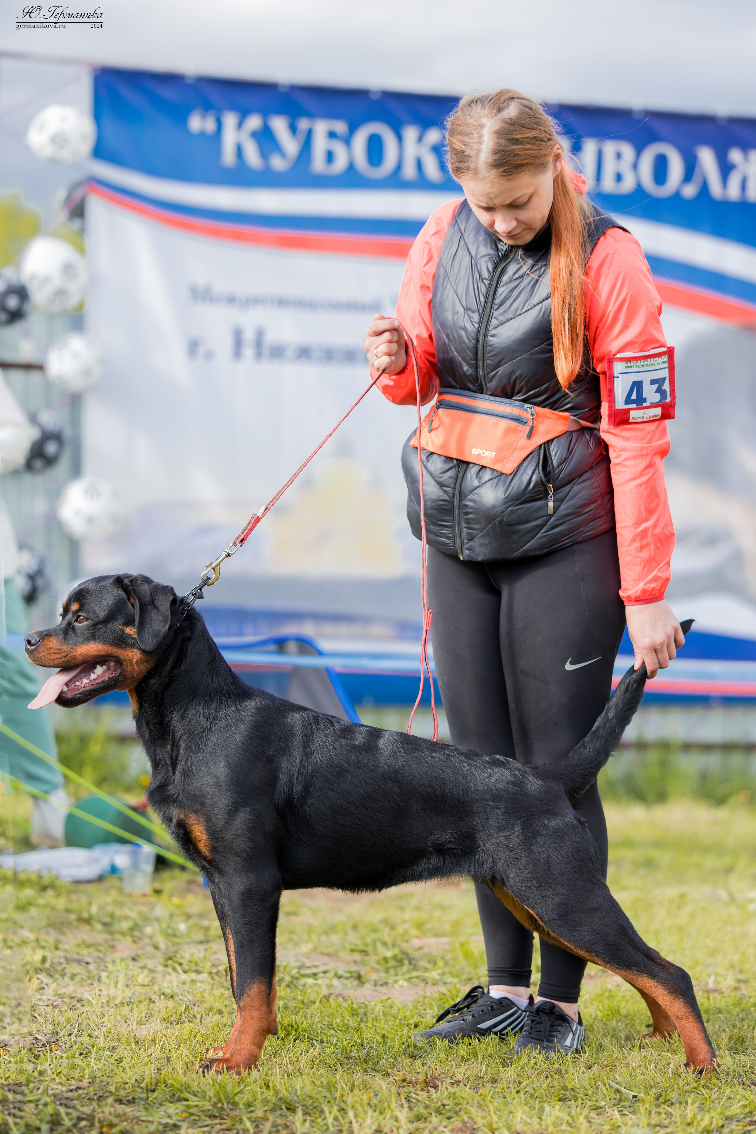 Нижний Новгород 11-12.05.2024 моно ротвейлеров. Фотограф-анималист Юлия Германика