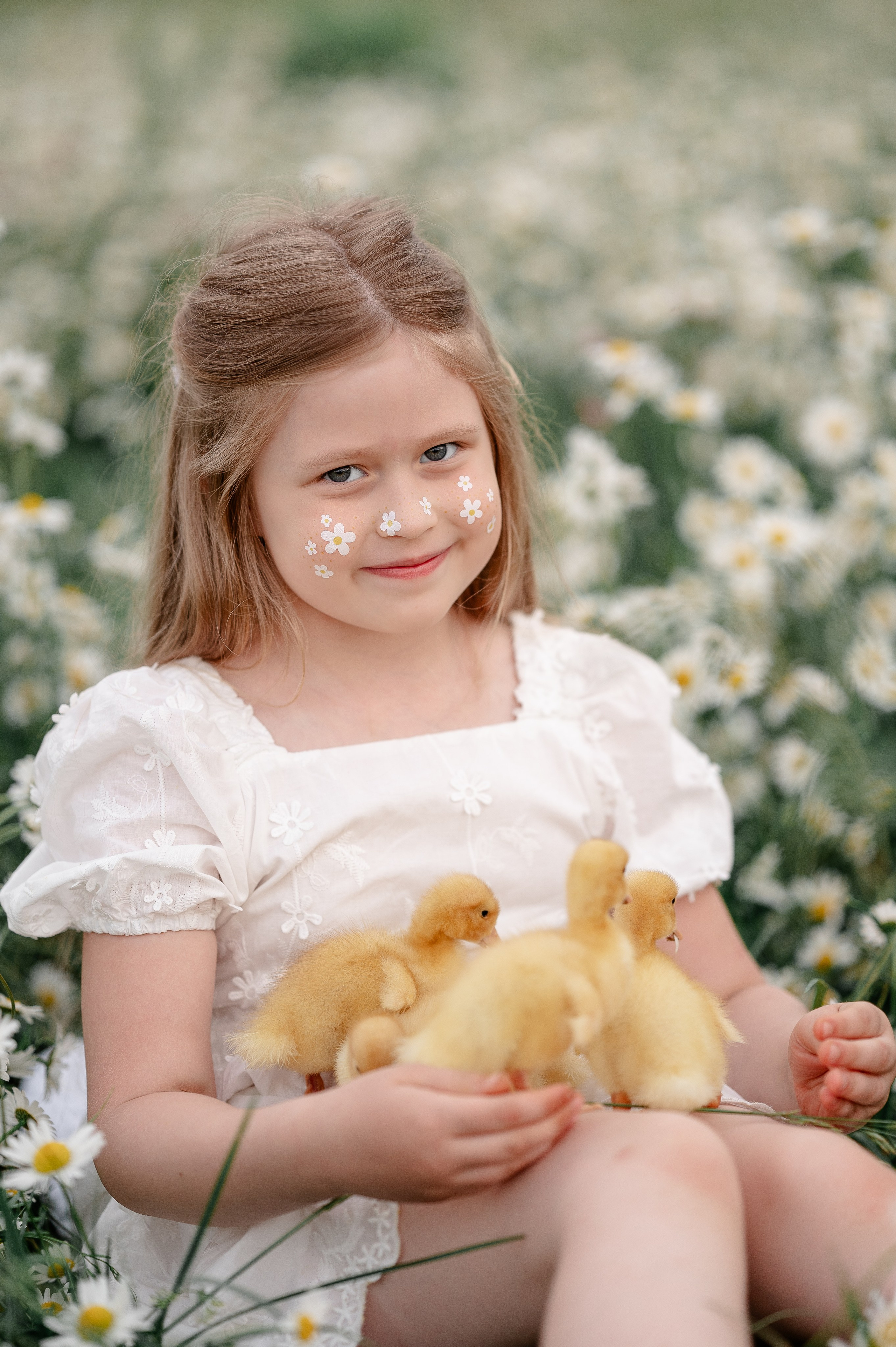 Поле ромашек. Фотограф Москва Екатерина Постникова Индивидуальные и семейные съемки