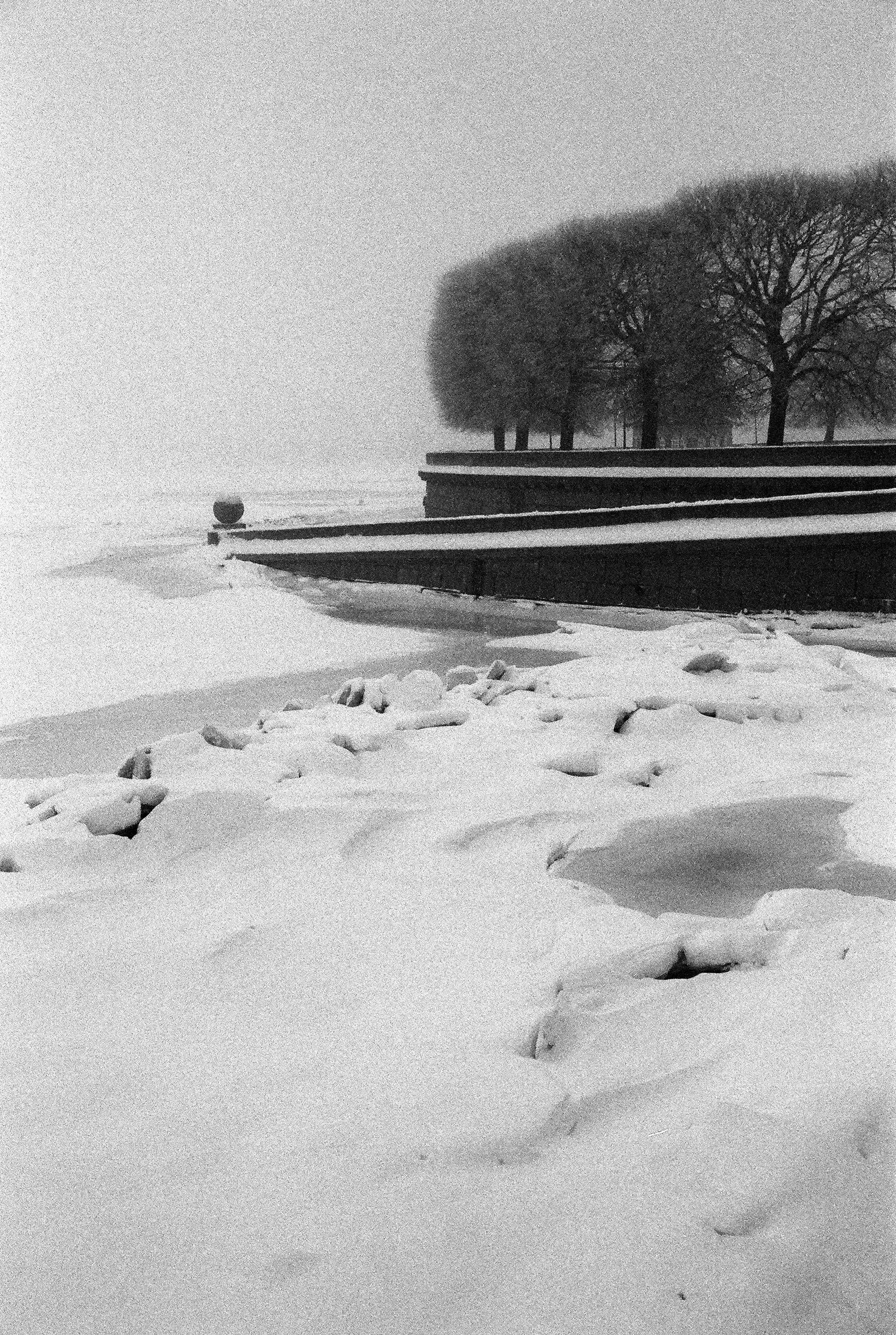 Фотографии черно-белые. Свадебный и семейный пленочный фотограф в Петербурге Истомина Ирина
