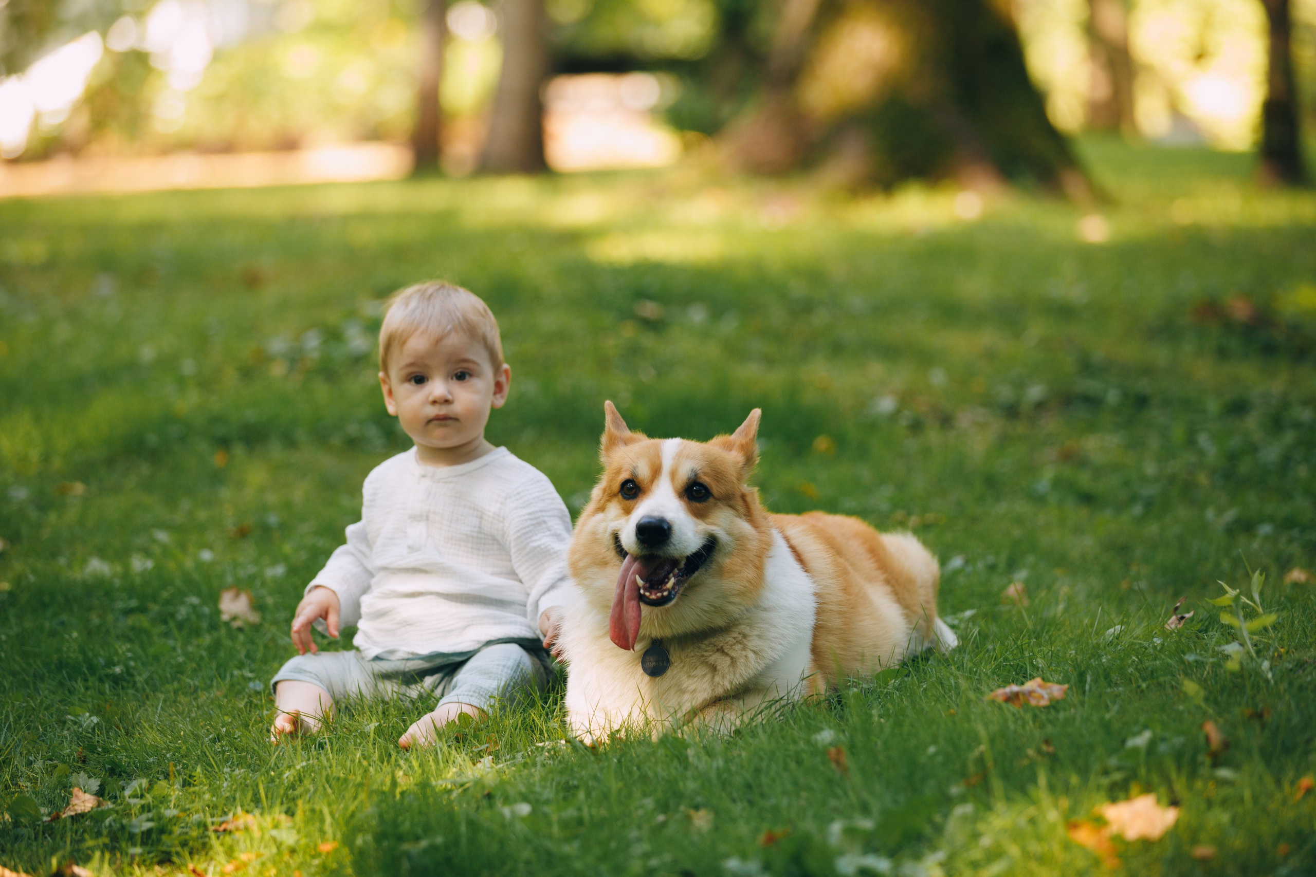 Мерф, Саша, Арсений и Андрей. Фотограф анималист Кристина Карпова, Москва