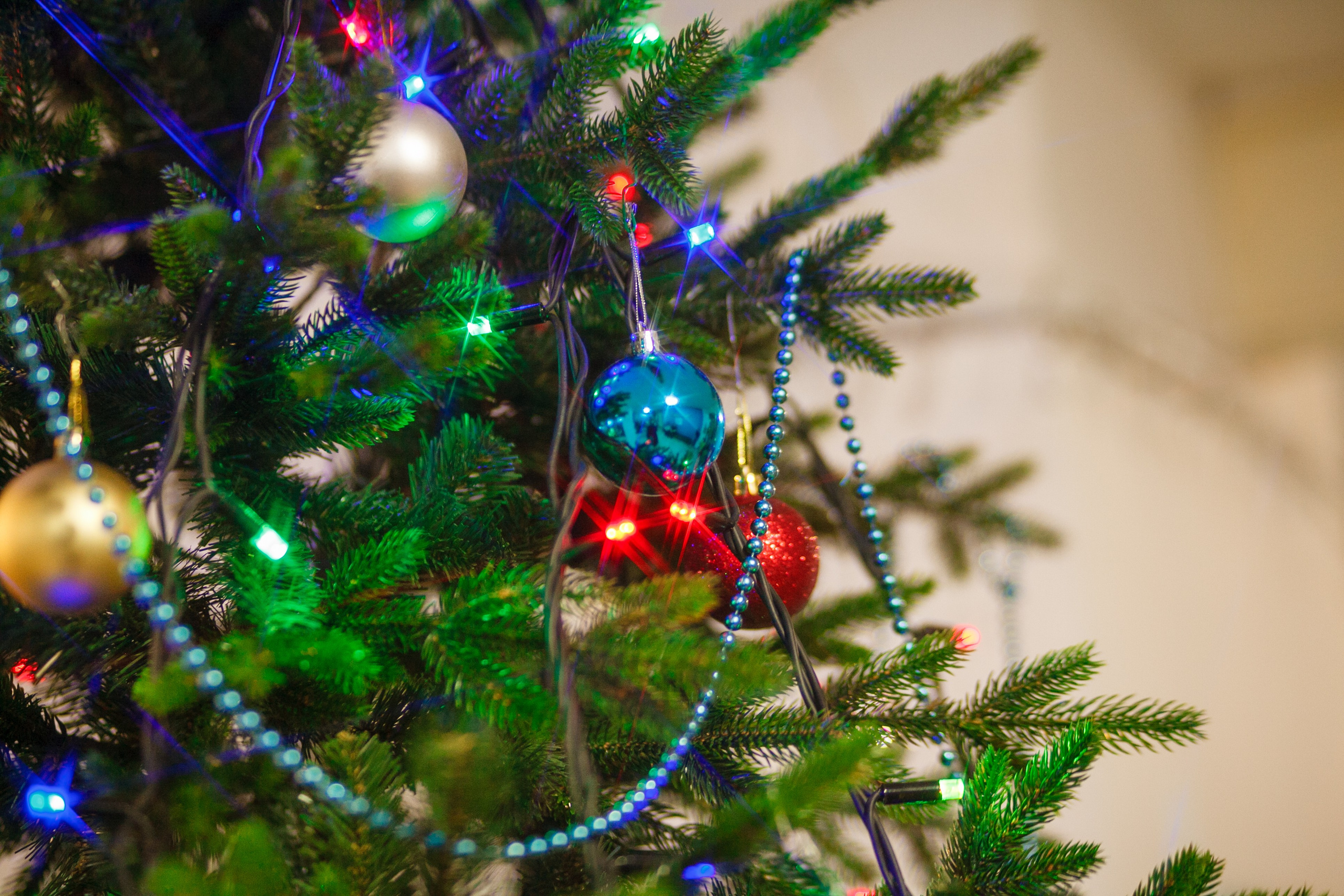 Утренник в шахматной школе. Свадебный и семейный фотограф в Армавире