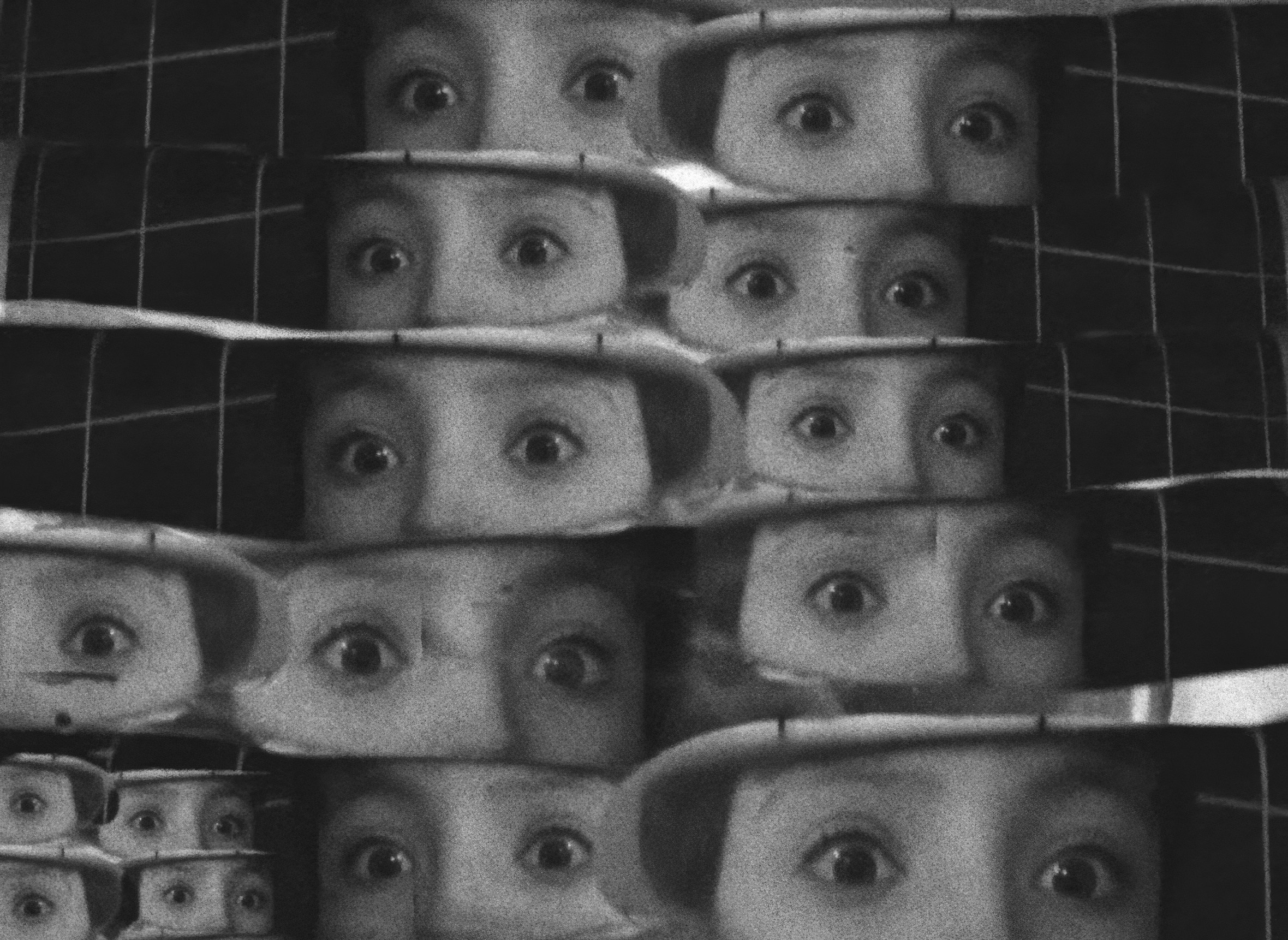 Донская Южно-Российская Биеннале. ARTEXPOPHOTO