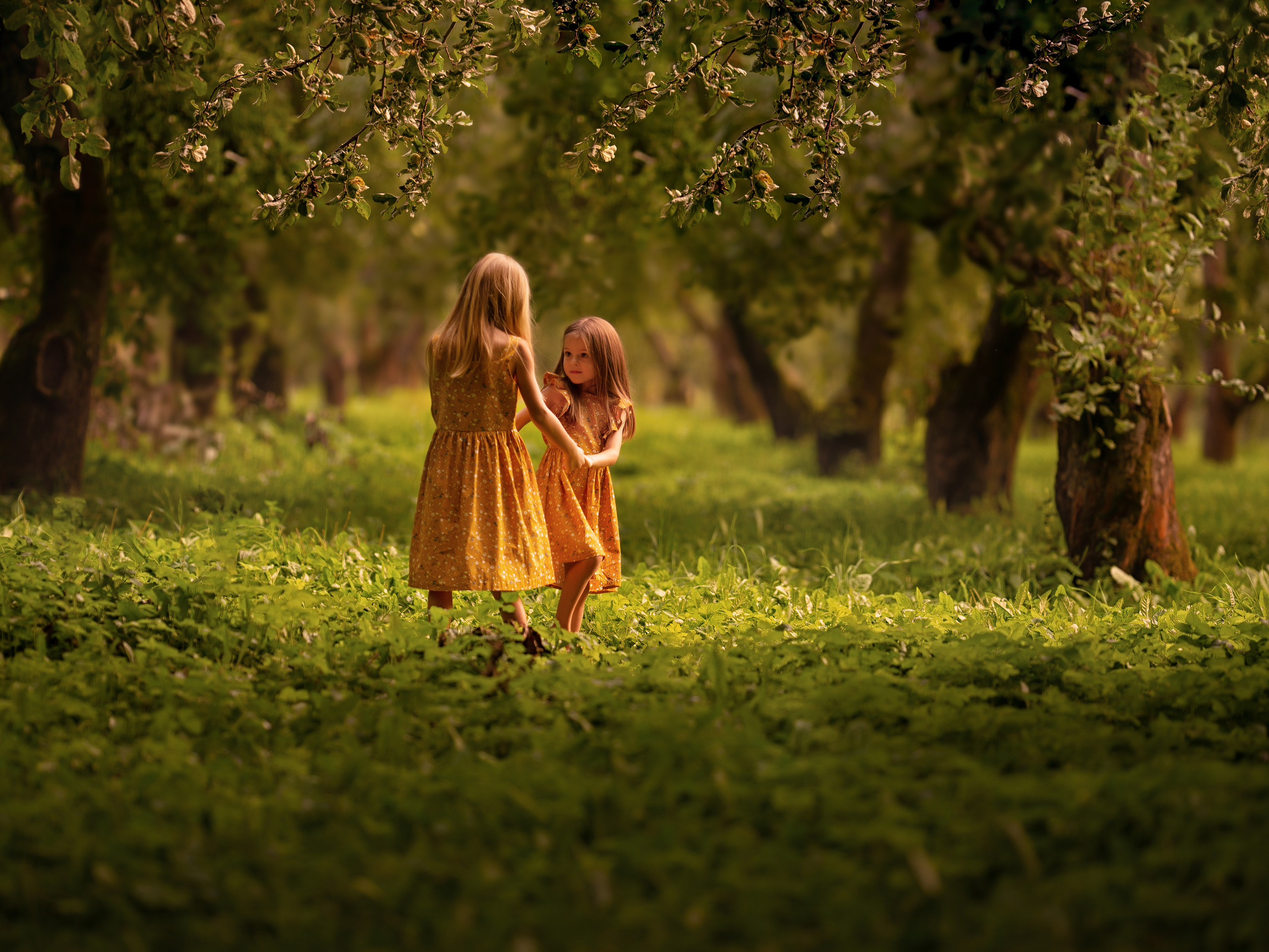 Семейная фотосъёмка. Главная