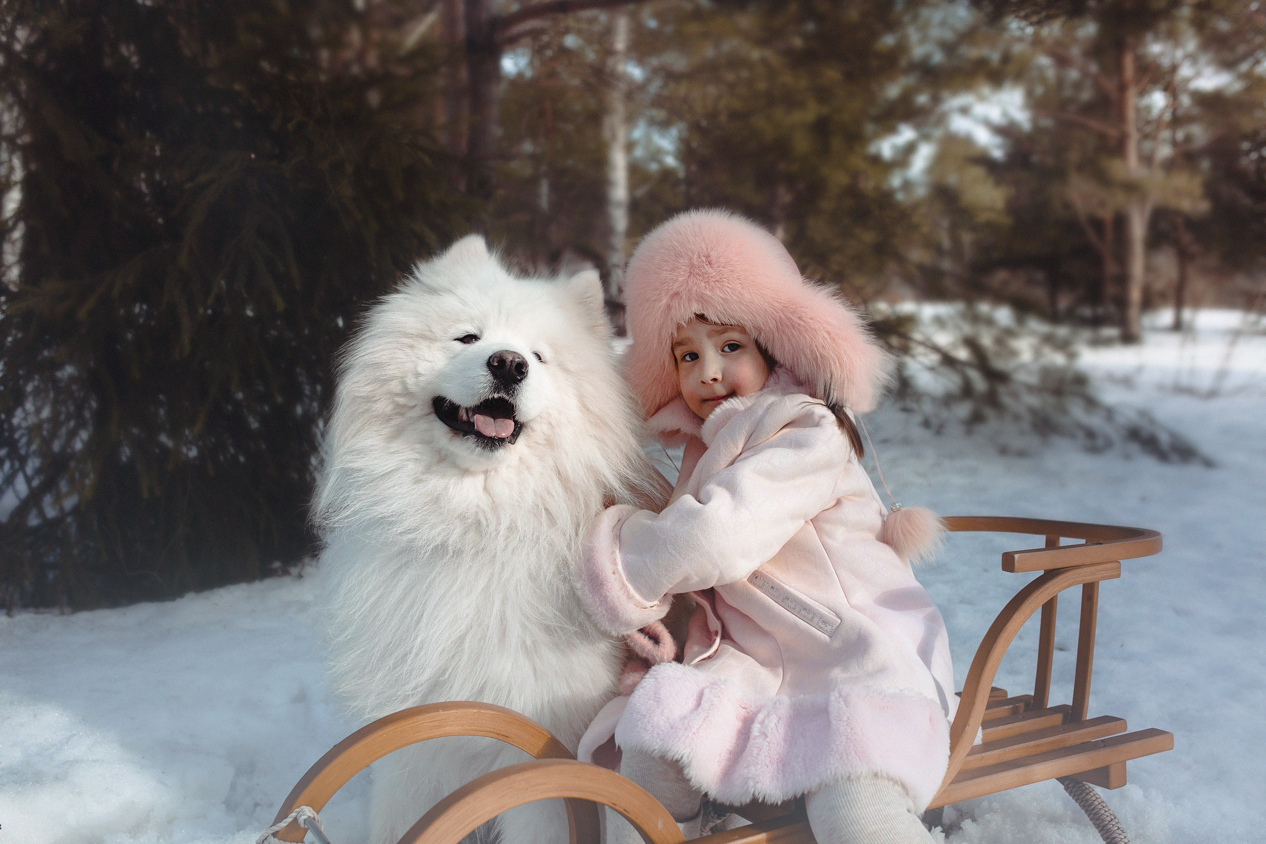 Соня и Самоед. Семейный и детский фотограф в Ижевске Анастасия Камариттинова