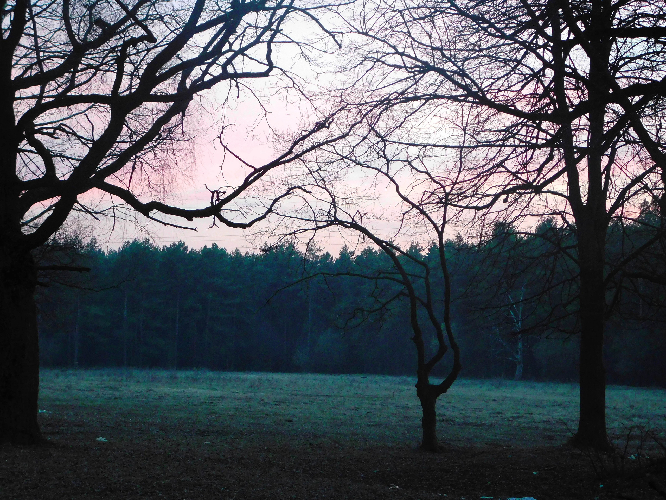 Мои первые работы. Фотограф из Москвы — DASHA NOVA | Авторская фотография в разных жанрах