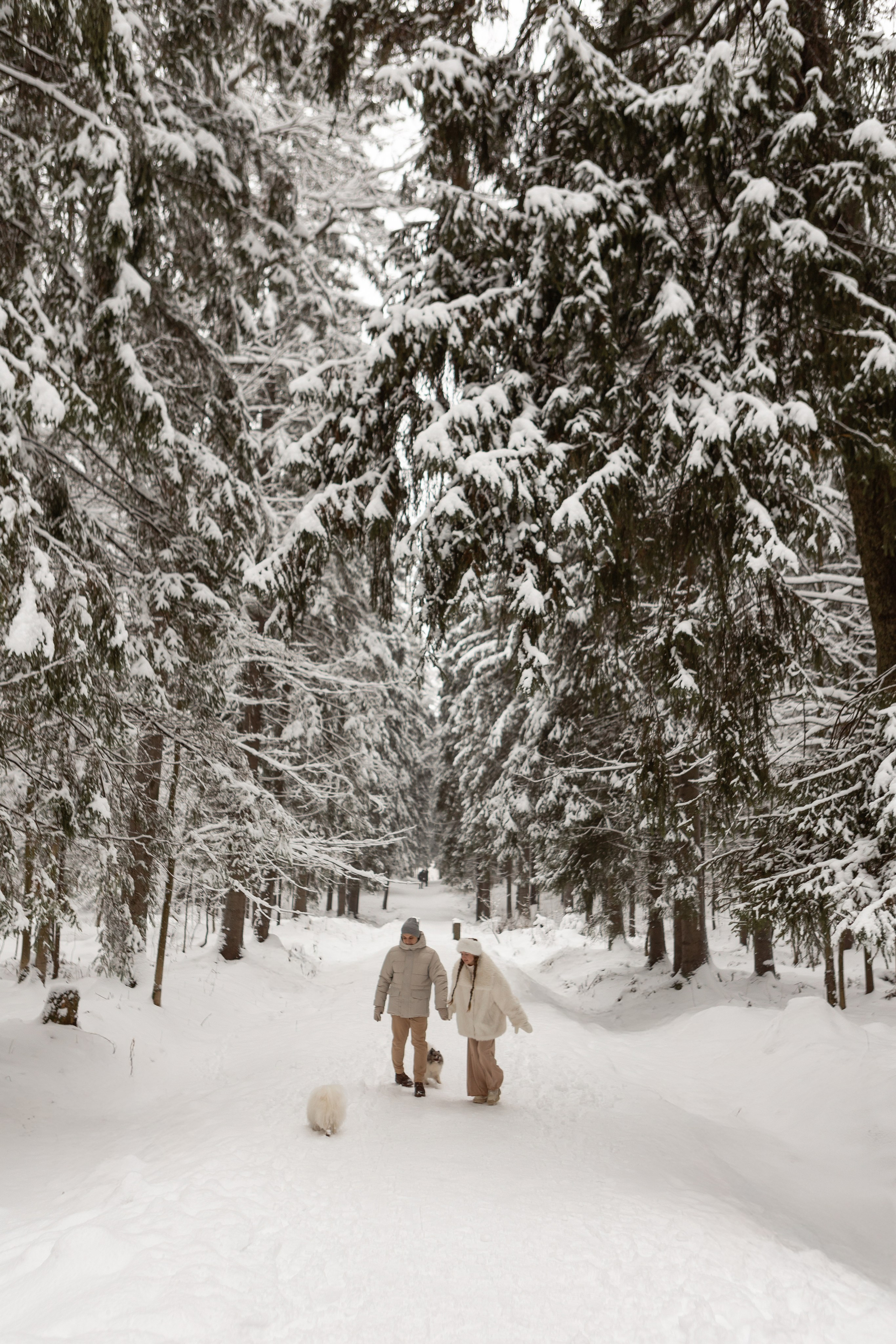 Новогодняя фотосессия с собачками в шуваловском парке. Свадебный фотограф в СПБ | Санкт-Петербурге Анастасия Рахимгулова