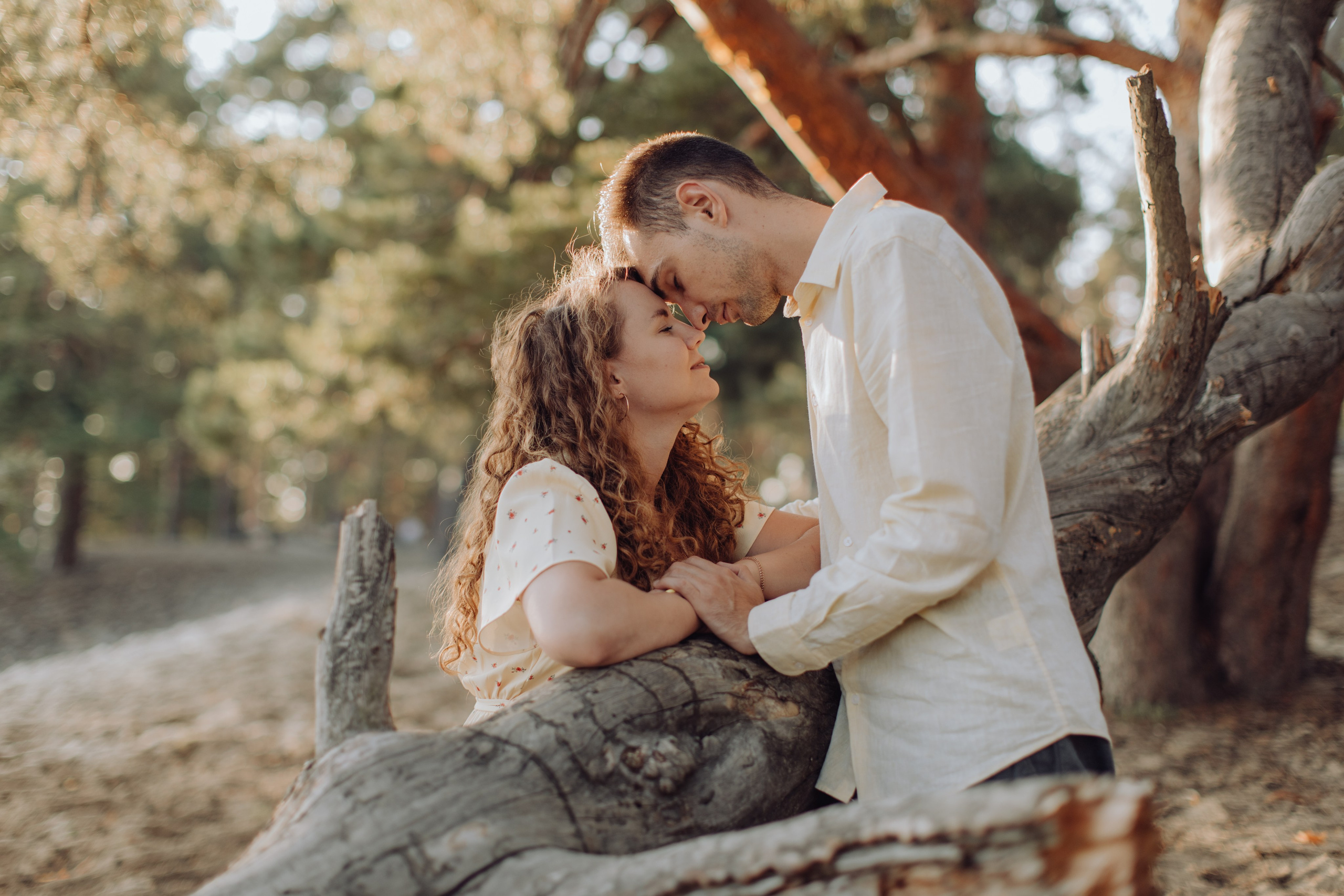 Поповка. Закат. Главная