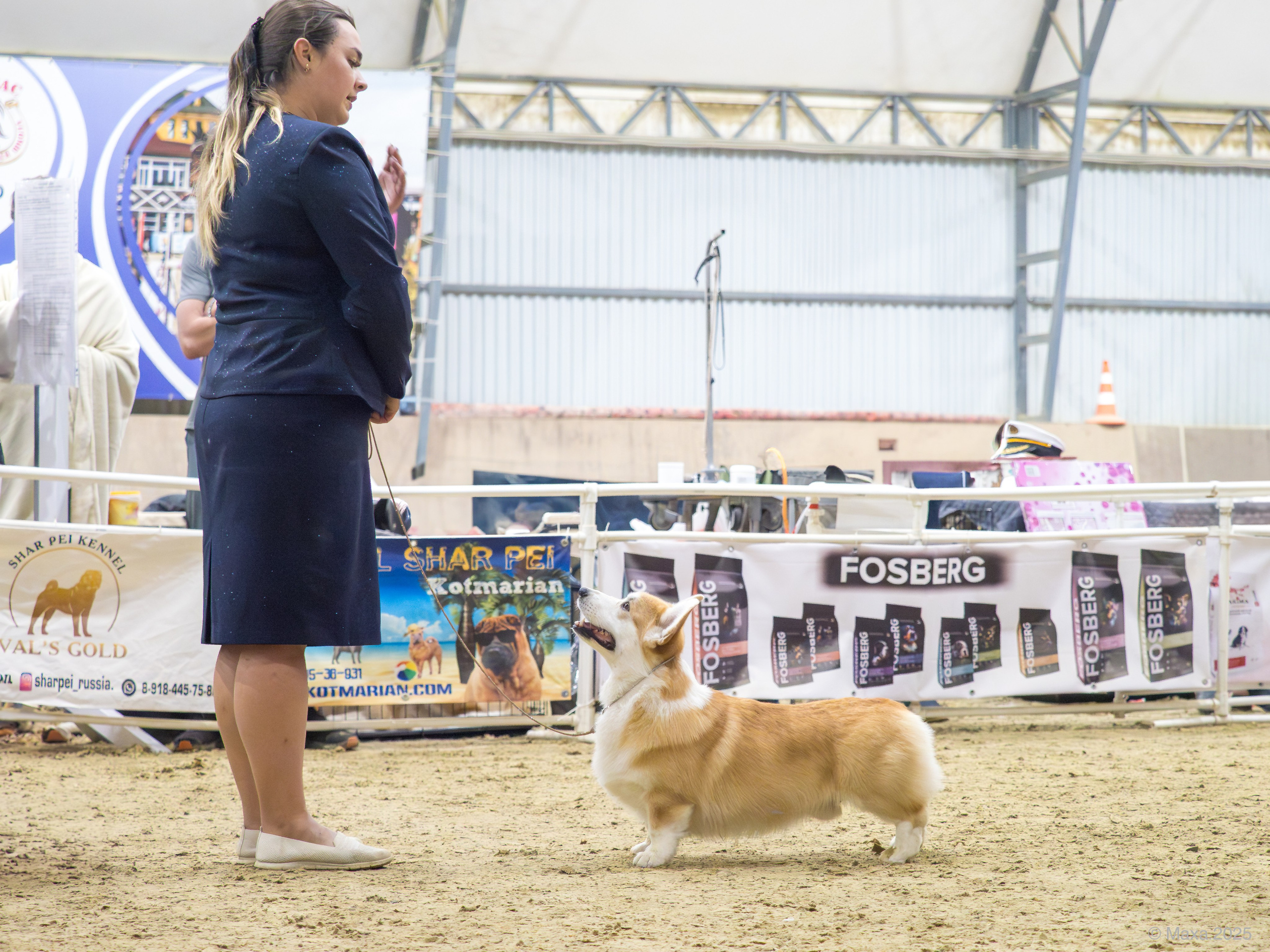 Репортажная съемка выставок. Фотограф анималист Тюгаева Мария