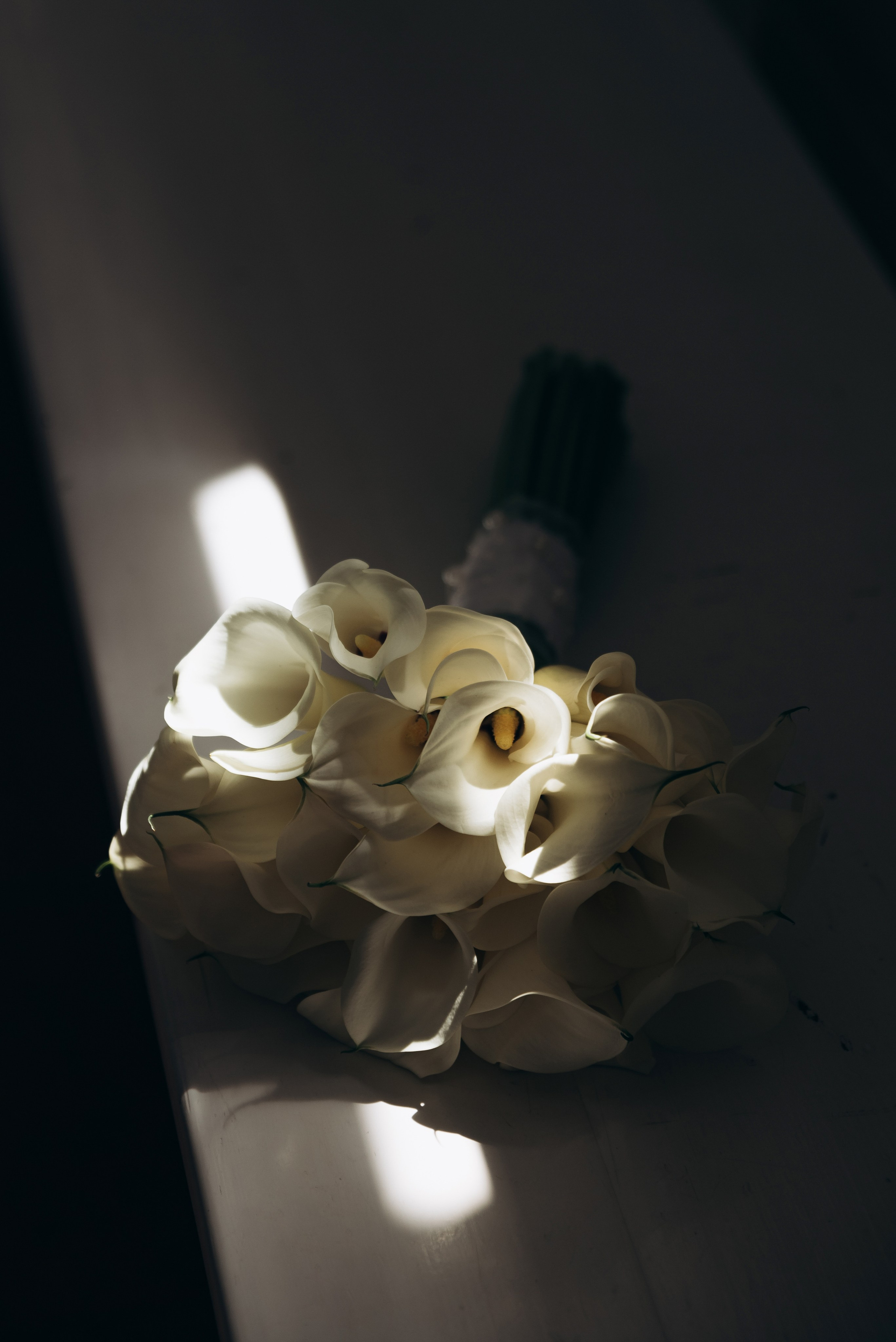 Денис + Дарья. Свадебный и семейный фотограф в Волгограде Олеся Лисицкая