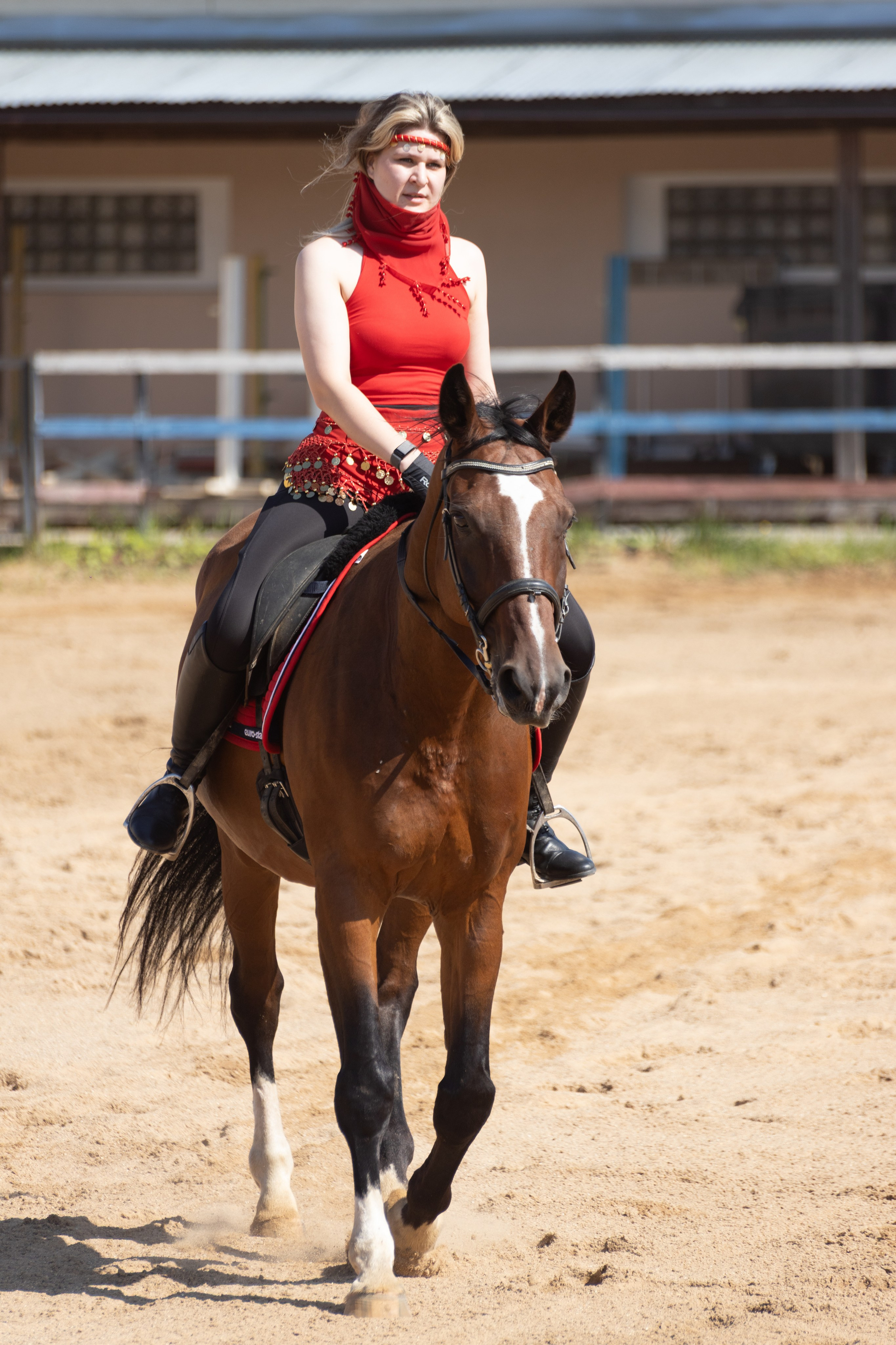 Конюшня. Фотограф в Москве и Истре