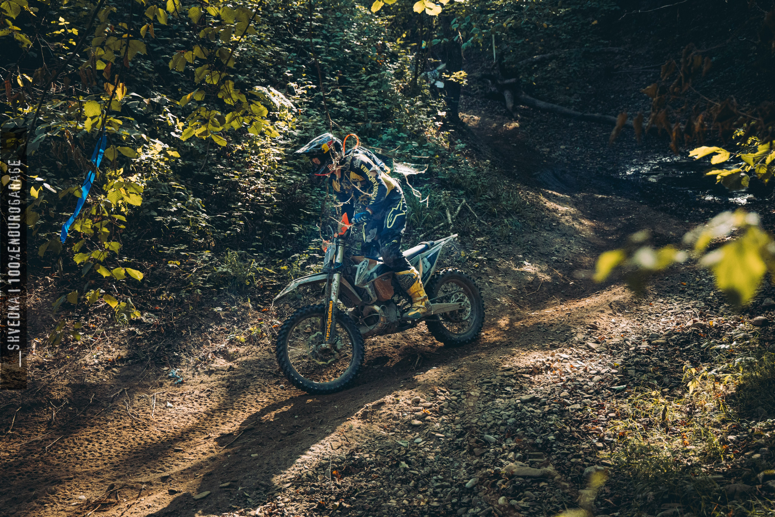 2 лесной день. Ваш экстрим фотограф Кудрева Яна