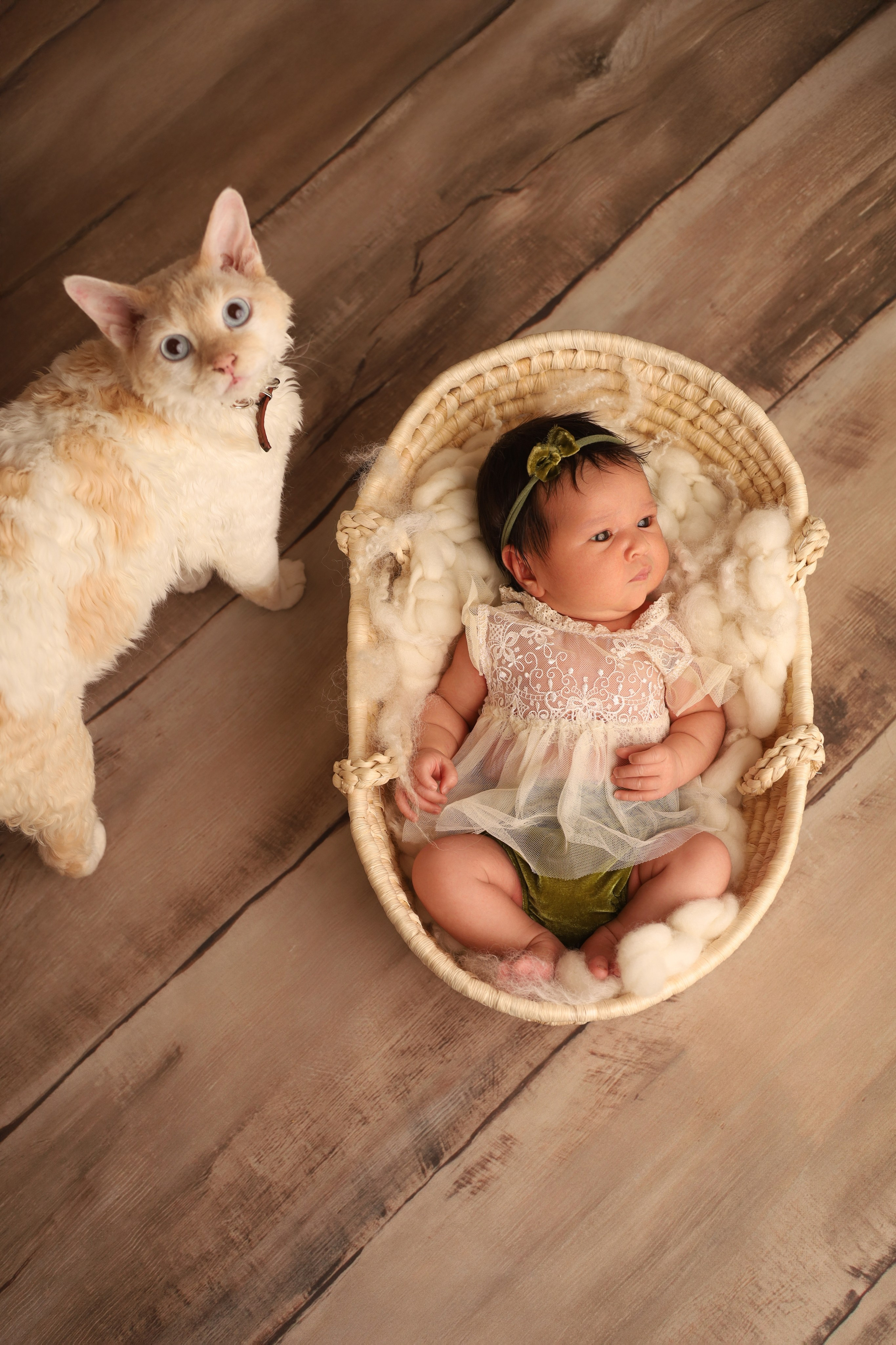 Ньюборн съемка малышки Софии. Детский фотограф новорожденных в Москве и Московской области Анна