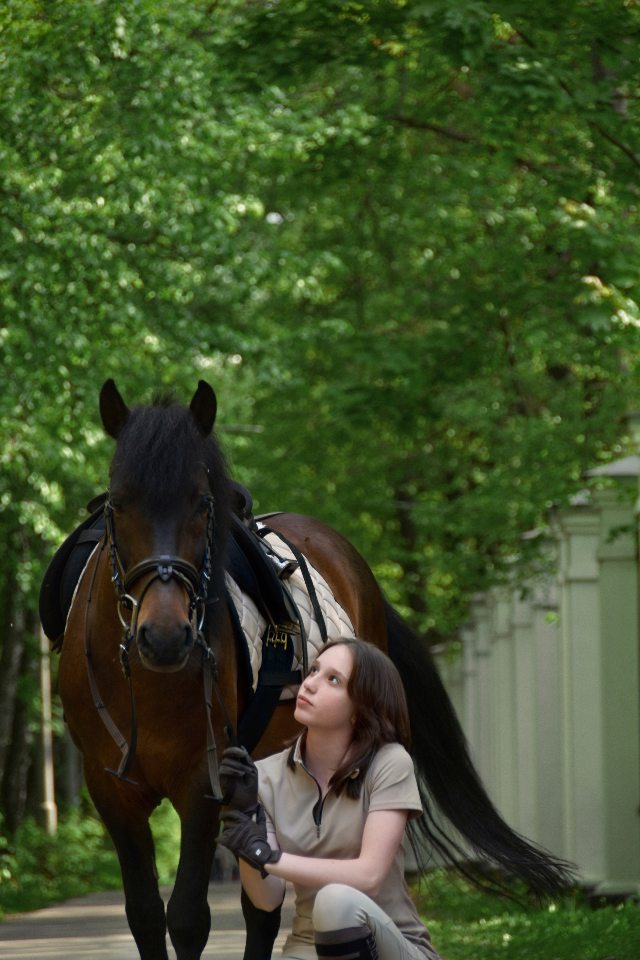 Александра и Капрал (клеппер). Конный фотограф Москва