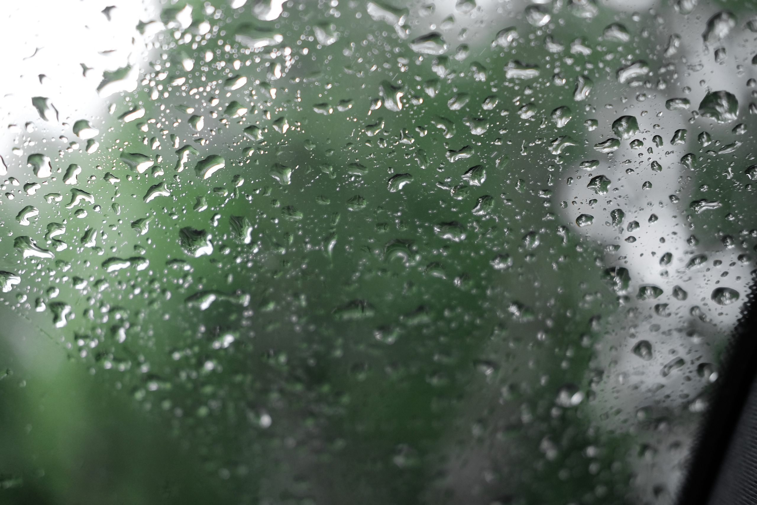 ПЕТР | КРИСТИНА. Свадебный и портретный фотограф в Санкт-Петербурге Варламова Татьяна