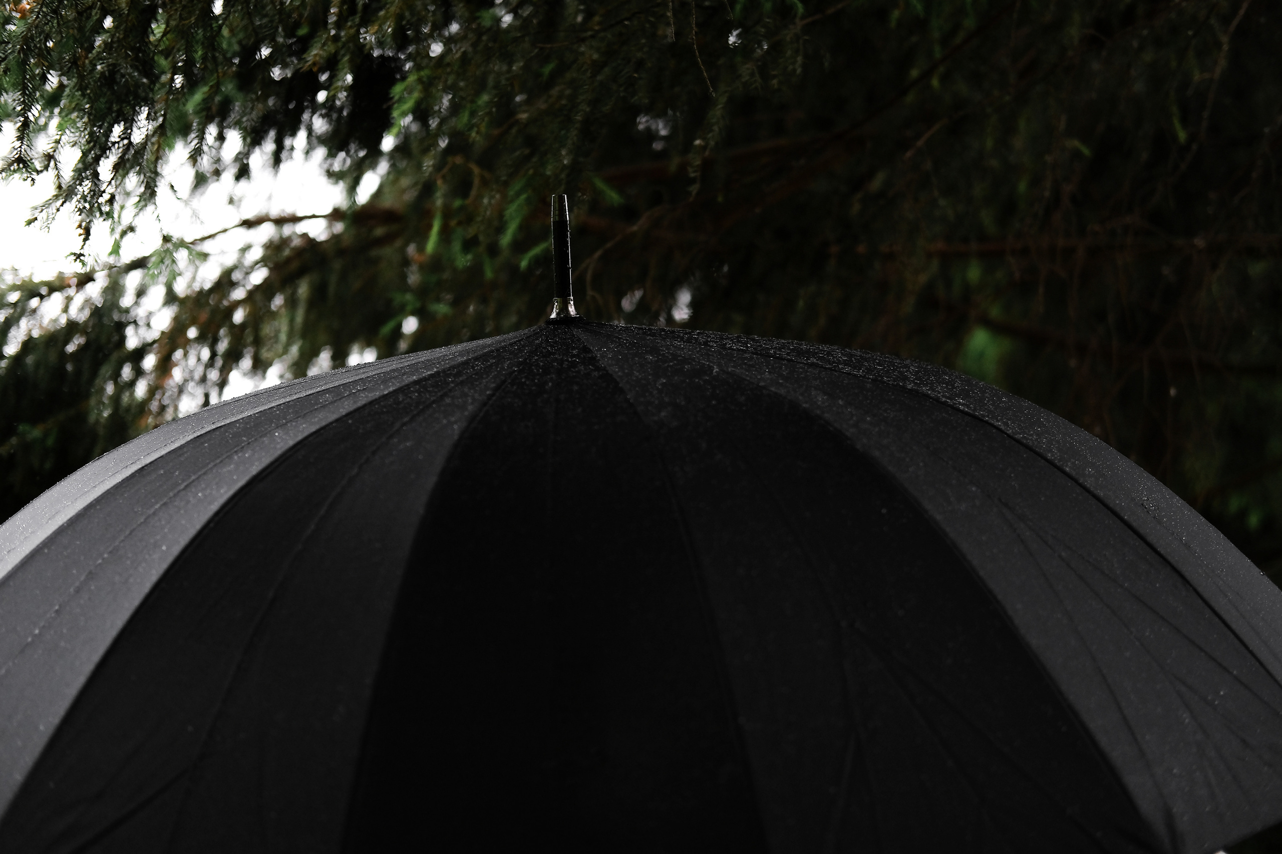 ПЕТР | КРИСТИНА. Свадебный и портретный фотограф в Санкт-Петербурге Варламова Татьяна