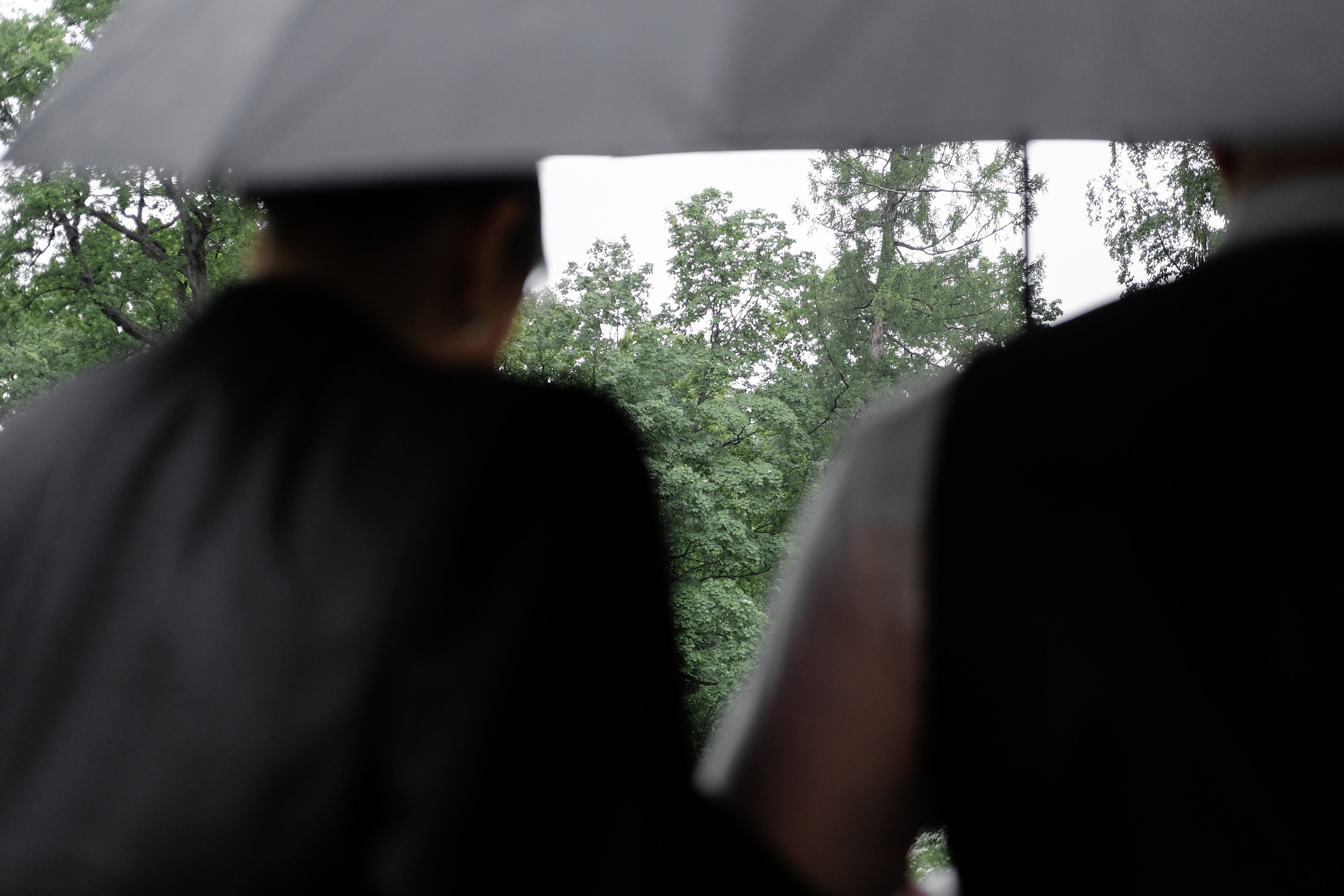 ПЕТР | КРИСТИНА. Свадебный и портретный фотограф в Санкт-Петербурге Варламова Татьяна