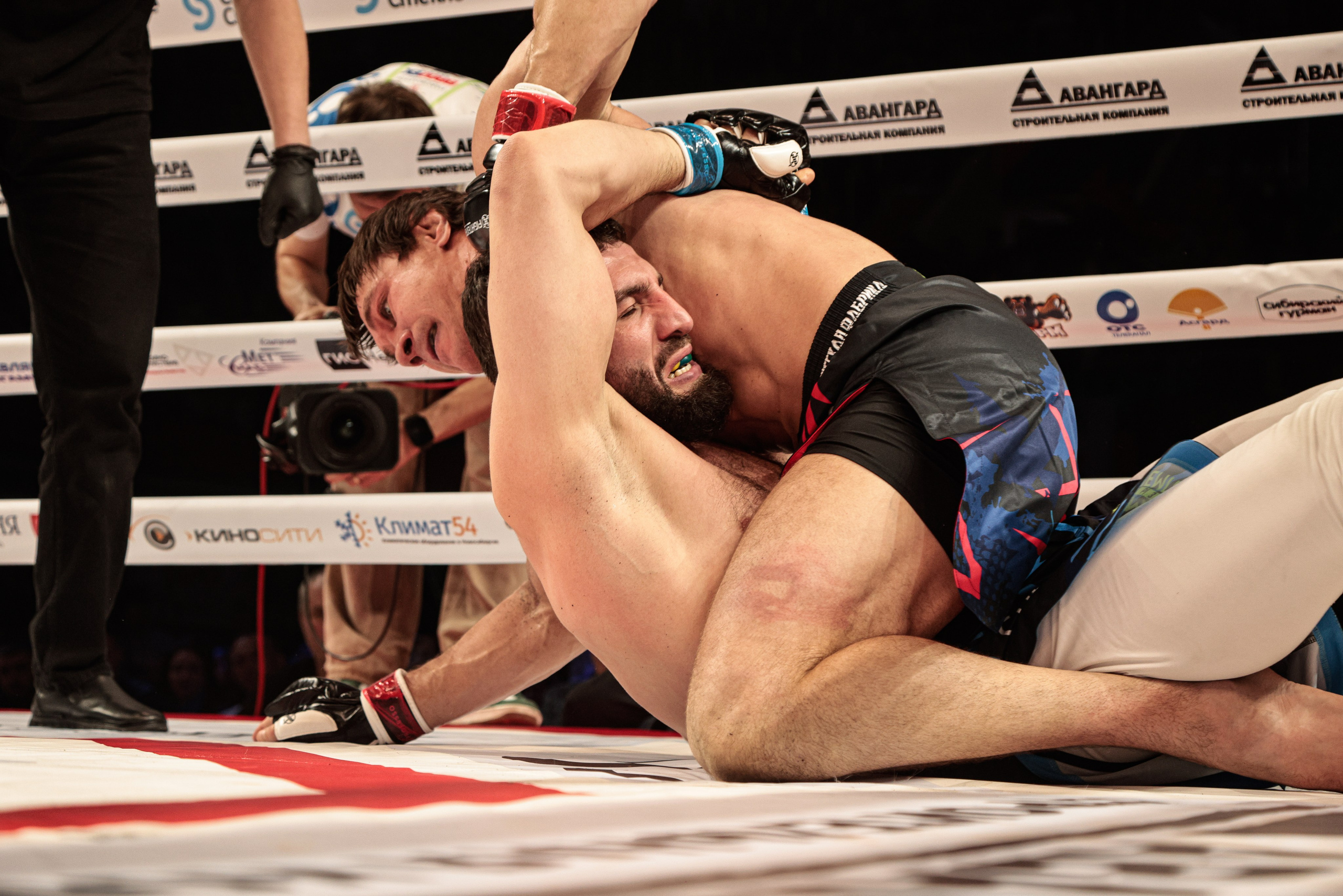 Чемпионы вызывают Чемпионов 2026. Фотограф в Новосибирске Александр Иванов