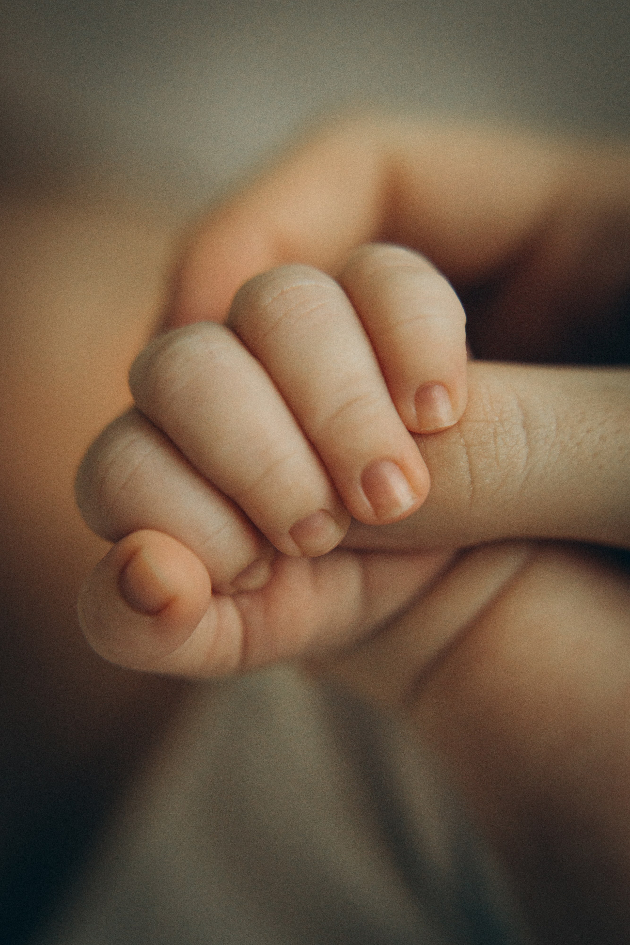 Ира, Вадим и Костя. Семейный фотограф и фотограф на роды в Ростове-на-Дону Мухина Виктория