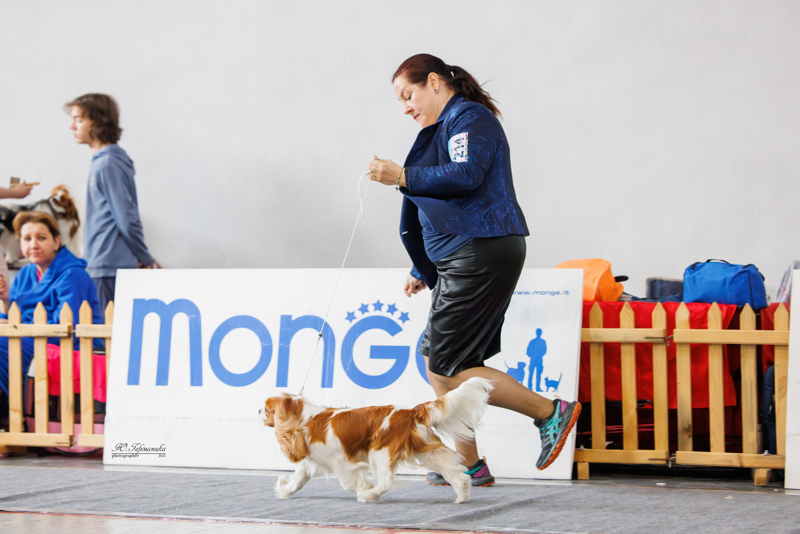 Ереван 2х CACIB 29-30.04.2025. Фотограф-анималист Юлия Германика