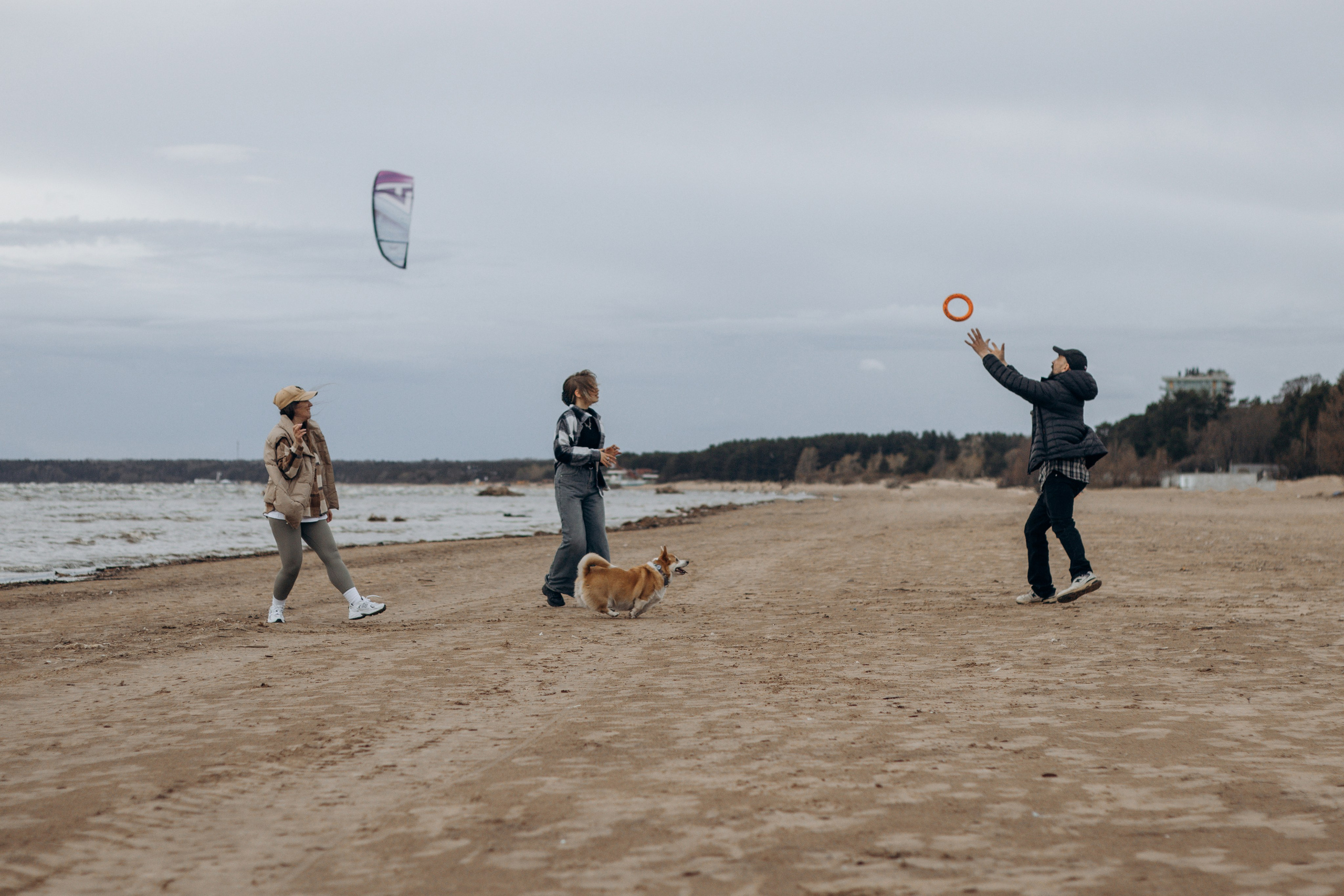Аня, Серёжа, Настя и Адель. Фотограф-анималист в Санкт-Петербурге