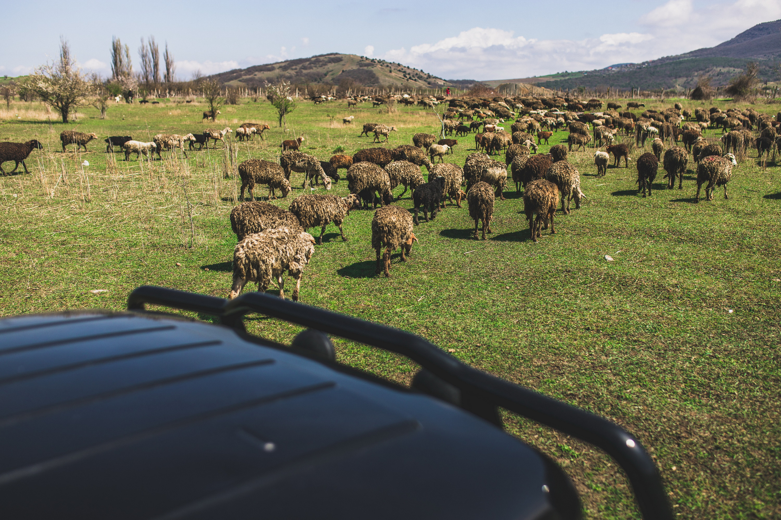 Съемка для сайта. Твой фотограф в Севастополе