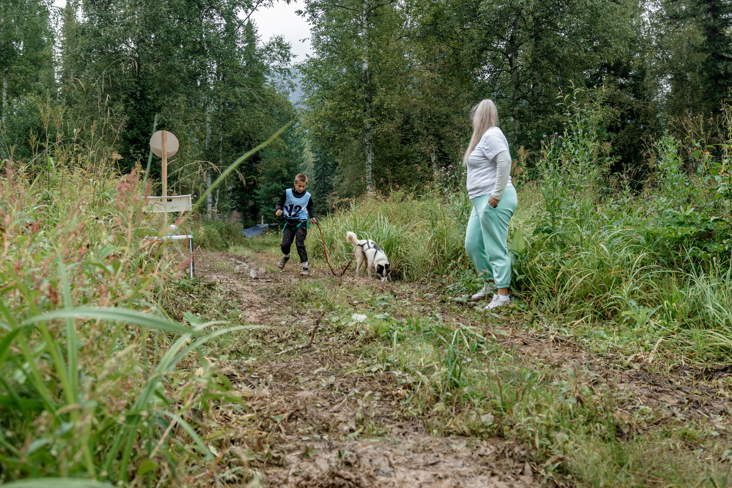 Дог-треккинг