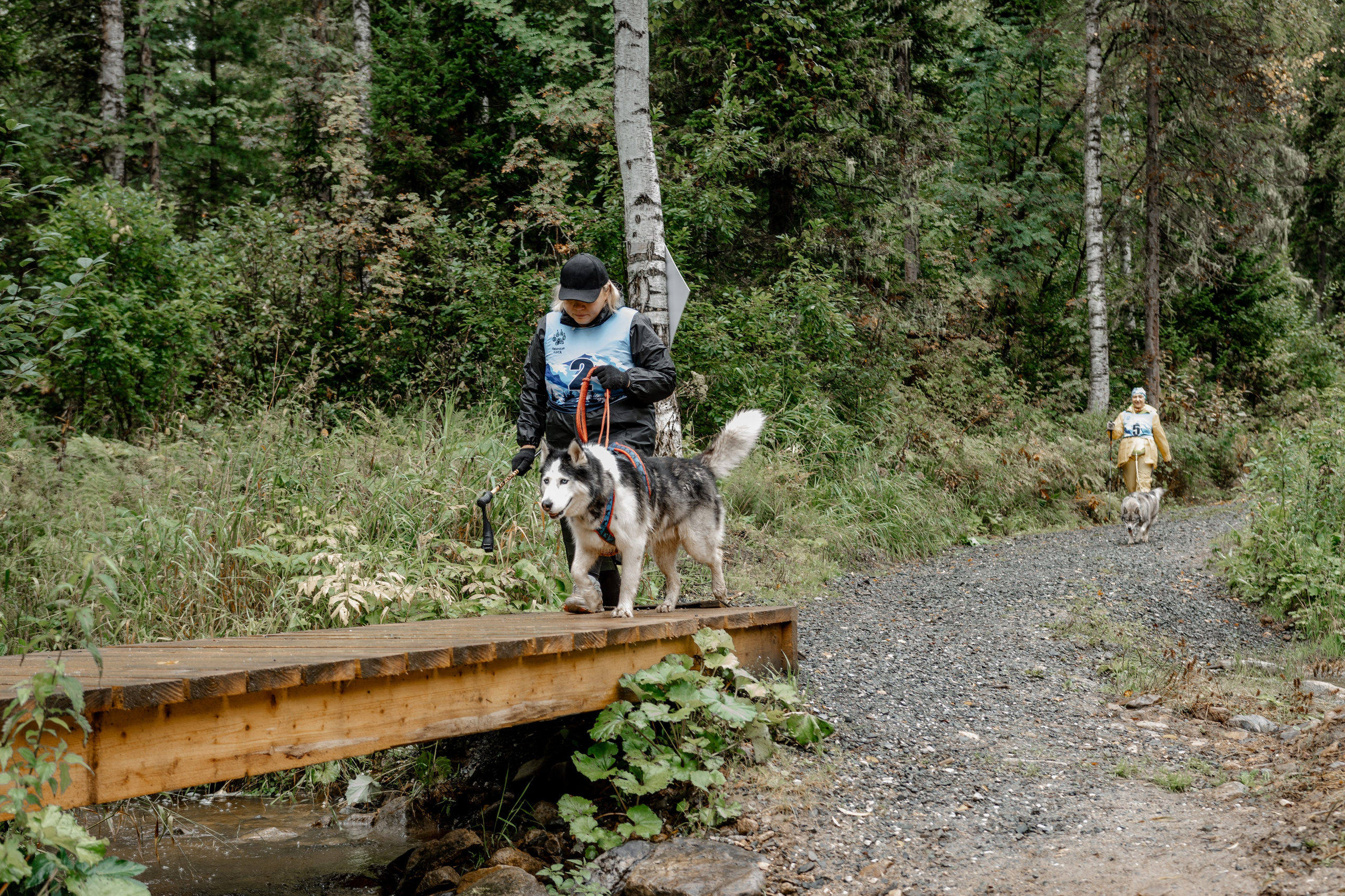 Дог-треккинг