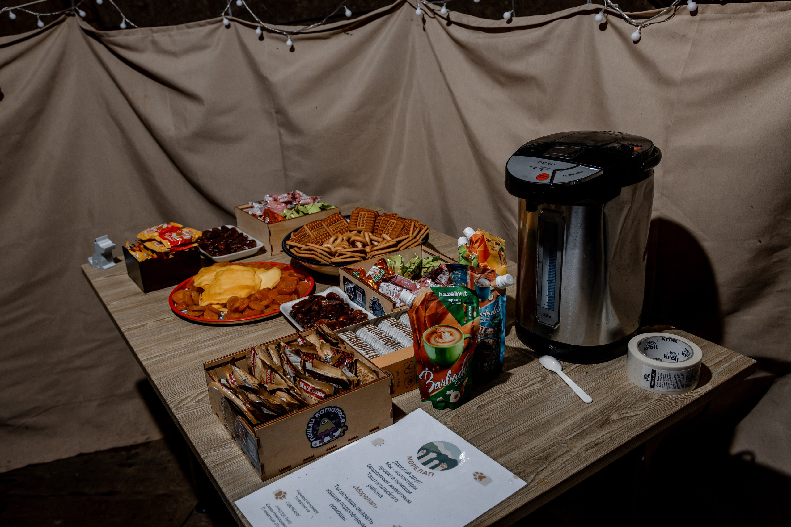 Дог-треккинг