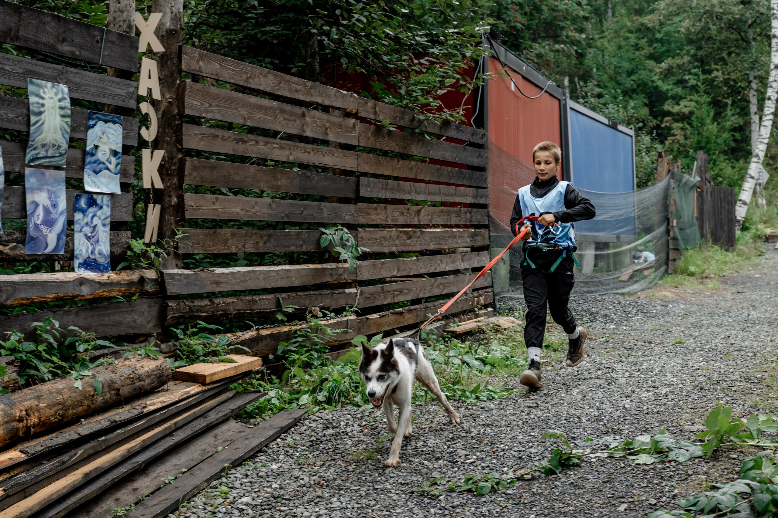 Дог-треккинг