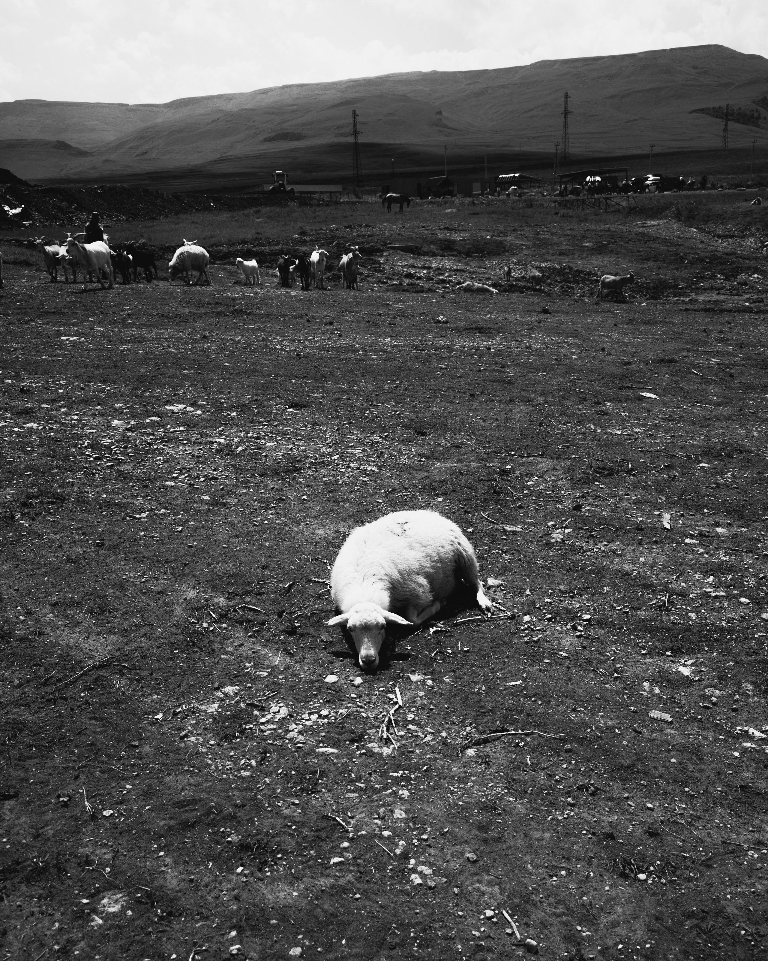 Dagestan / Yandex 360 x КУДА ГЛАЗА ГЛЯДЯТ