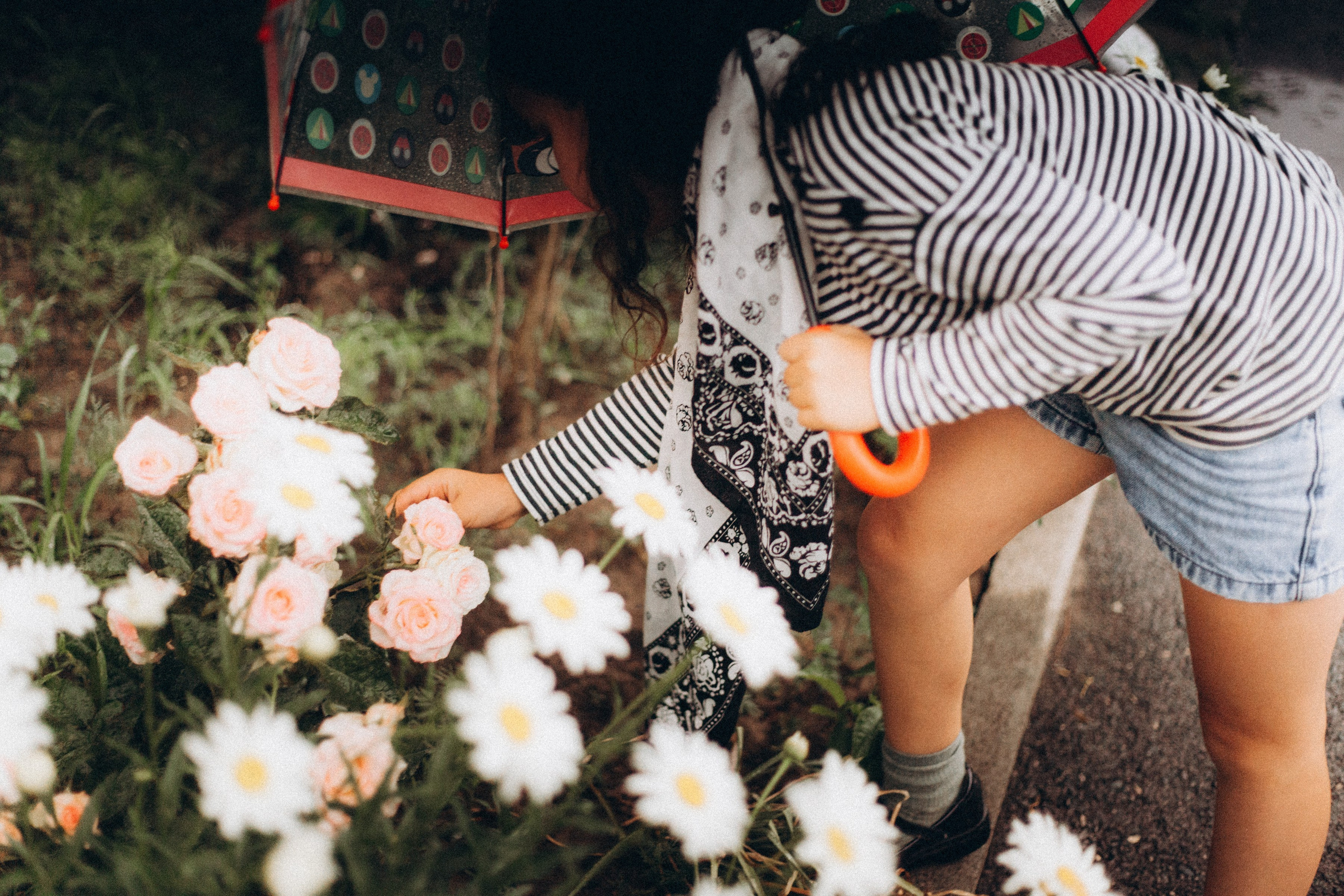На улице и на природе. Фотограф Оксана Мамукаева г. Владикавказ
