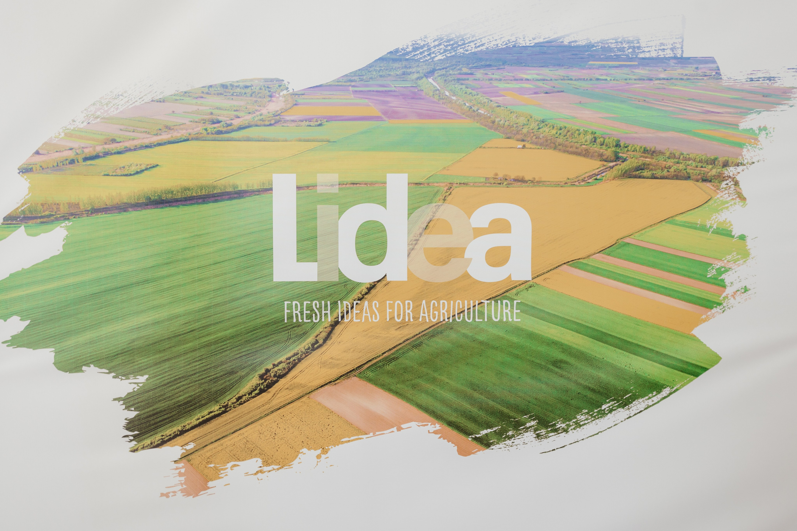 День поля. Фотограф Крохин Олег