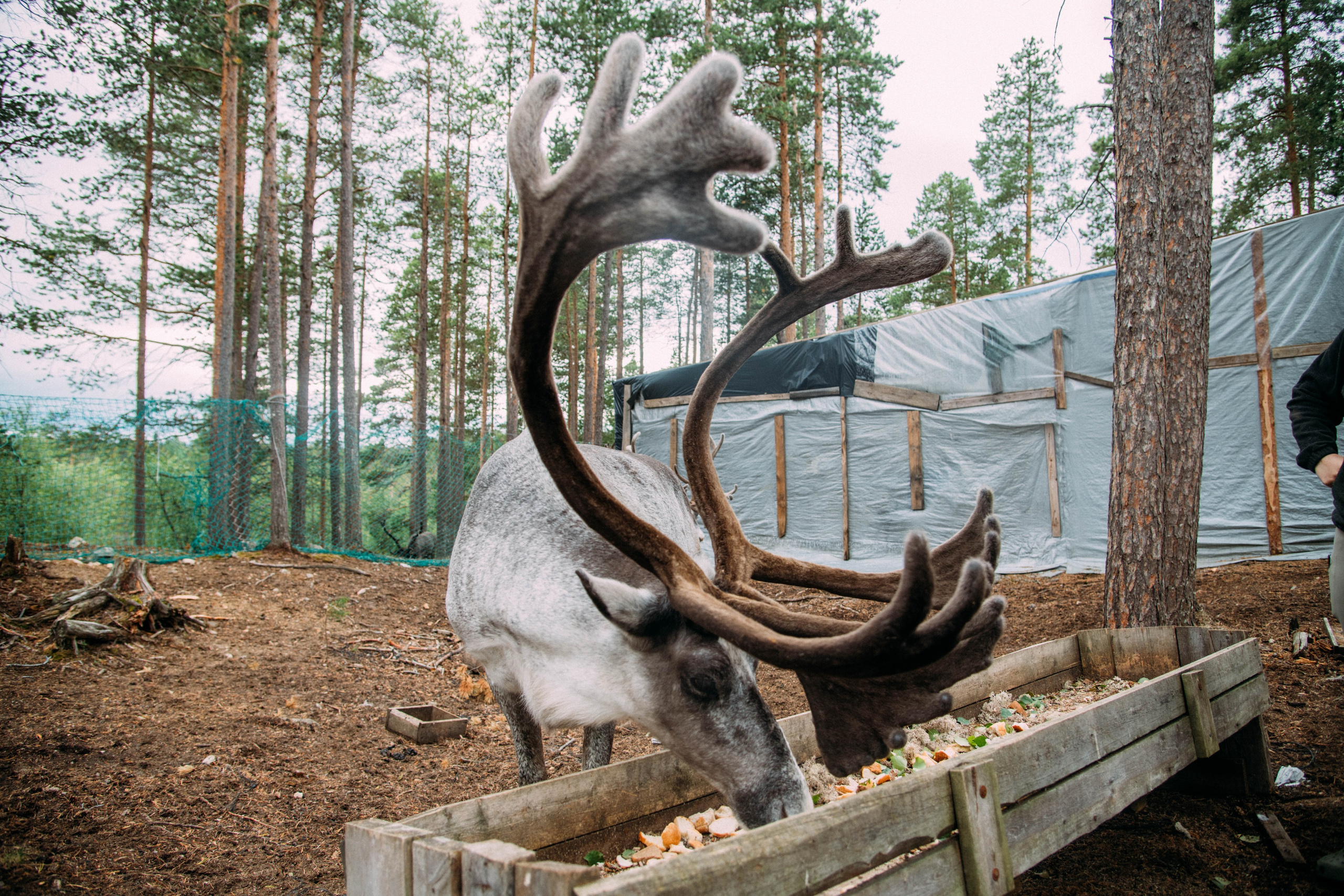 Кольский полуостров. Фотографирую для себя, своей семьи и друзей!