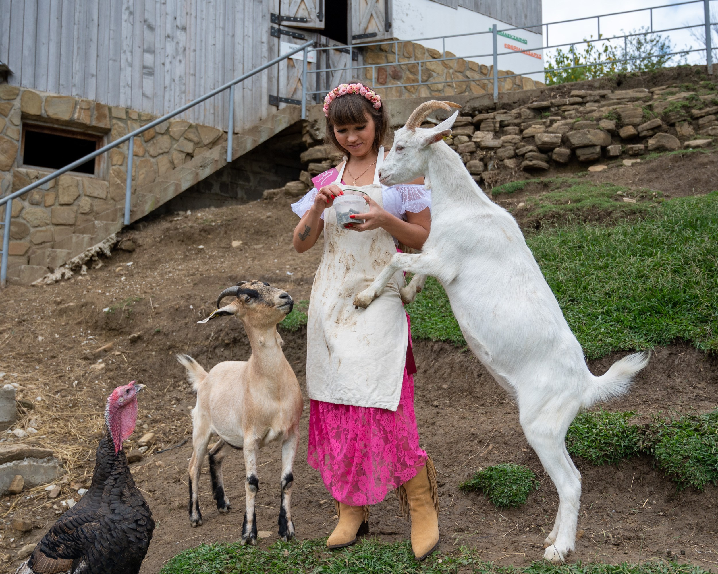 Ферма «ЭКЗАРХО» 03.10.2024 г. Фотографирую счастливых людей в Сочи