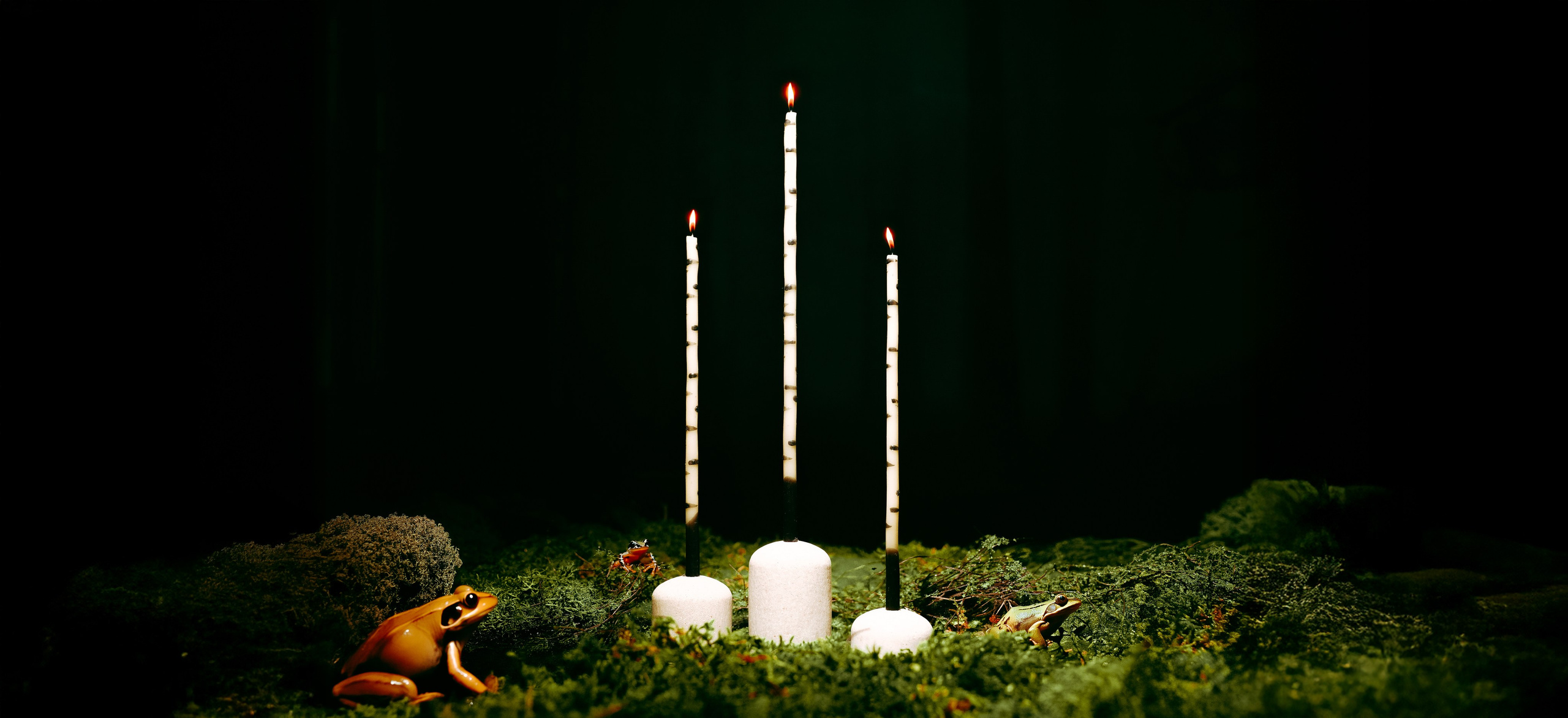 Home.Forma. Фотограф из Москвы — DASHA NOVA | Авторская фотография в разных жанрах