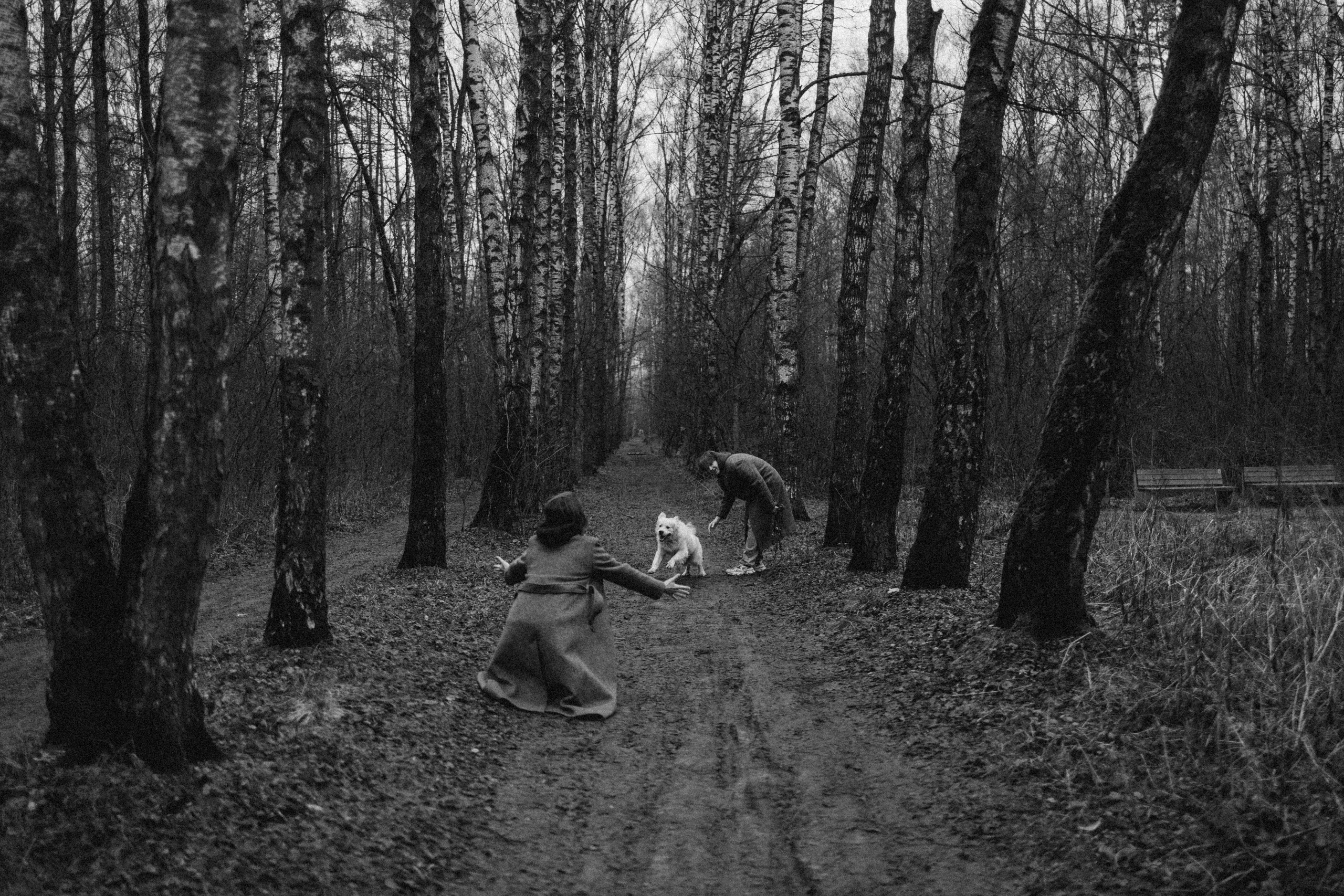 Лаки и его семья. Фотограф — Анималист | Санкт-Петербург