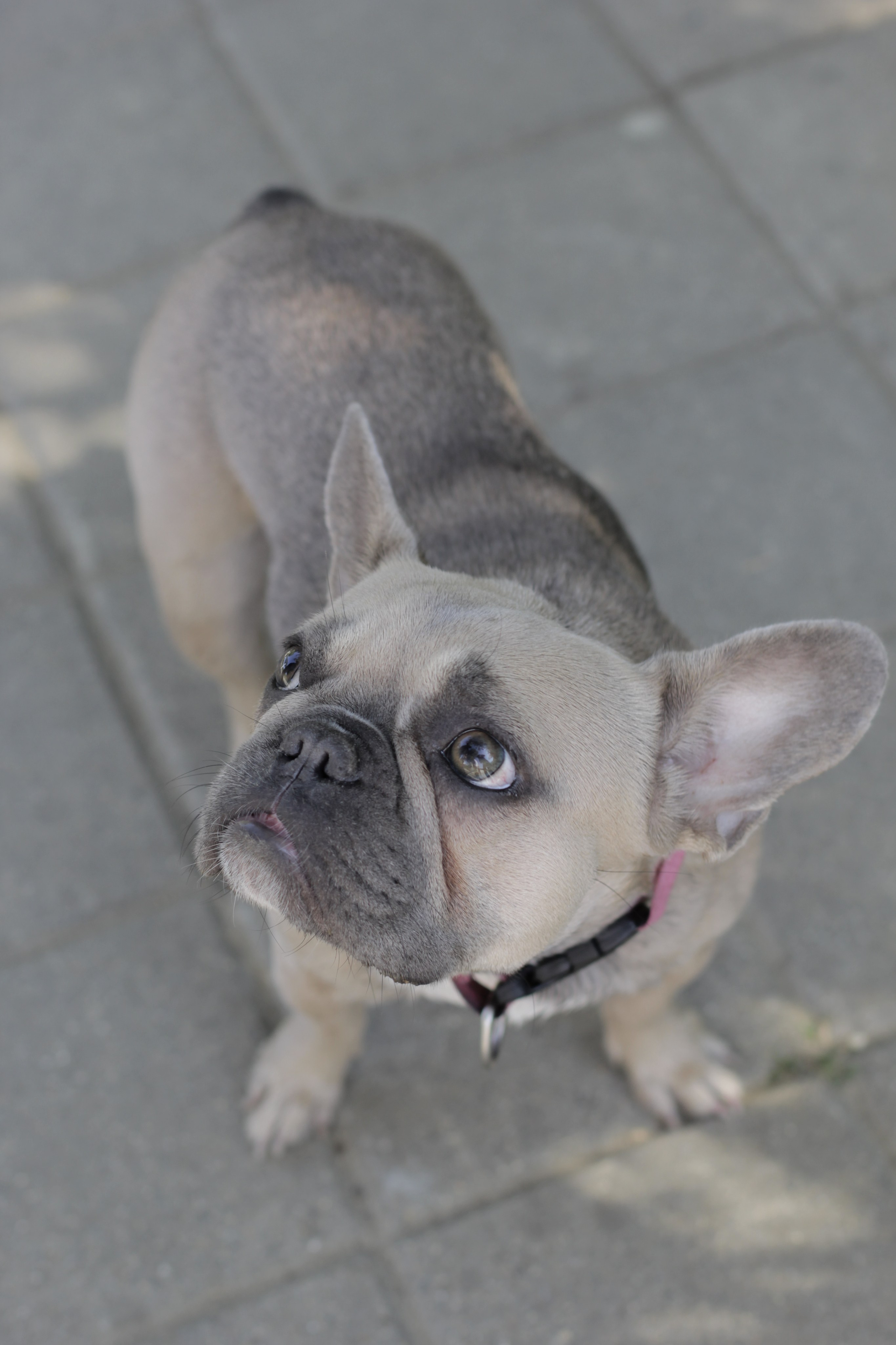 Горячий Ключ (2024-09-22). Собор Отрасли