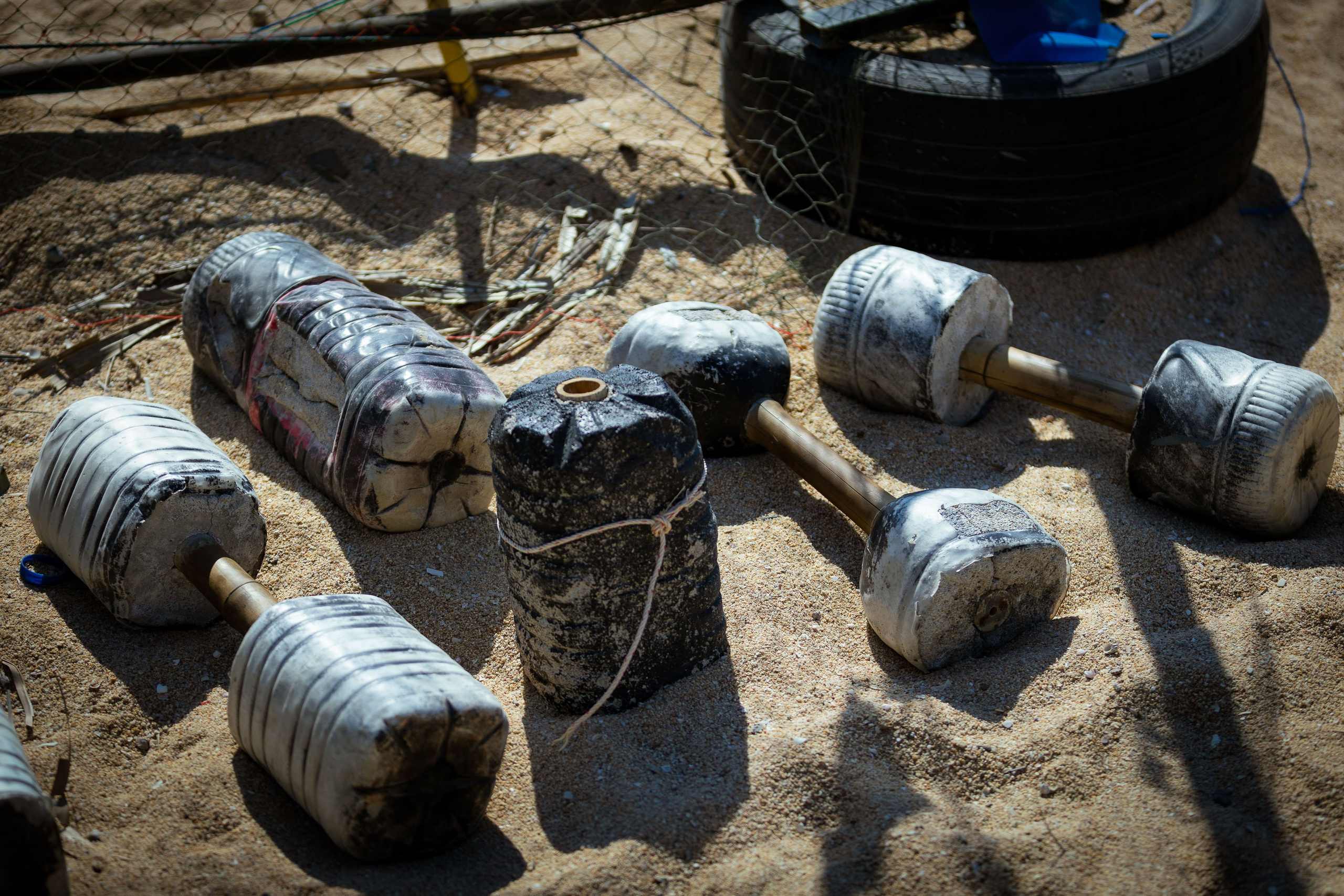 Таиланд (зима 2025). Фотограф Виноградов Константин