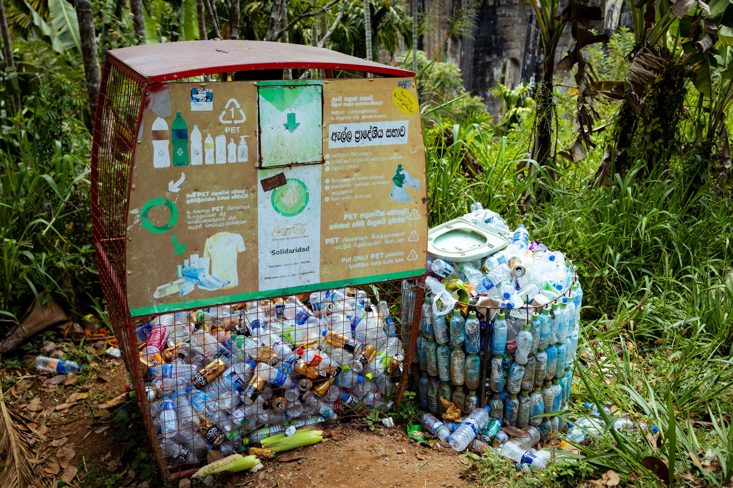 Шри-Ланка (весна 2024). Фотограф Виноградов Константин