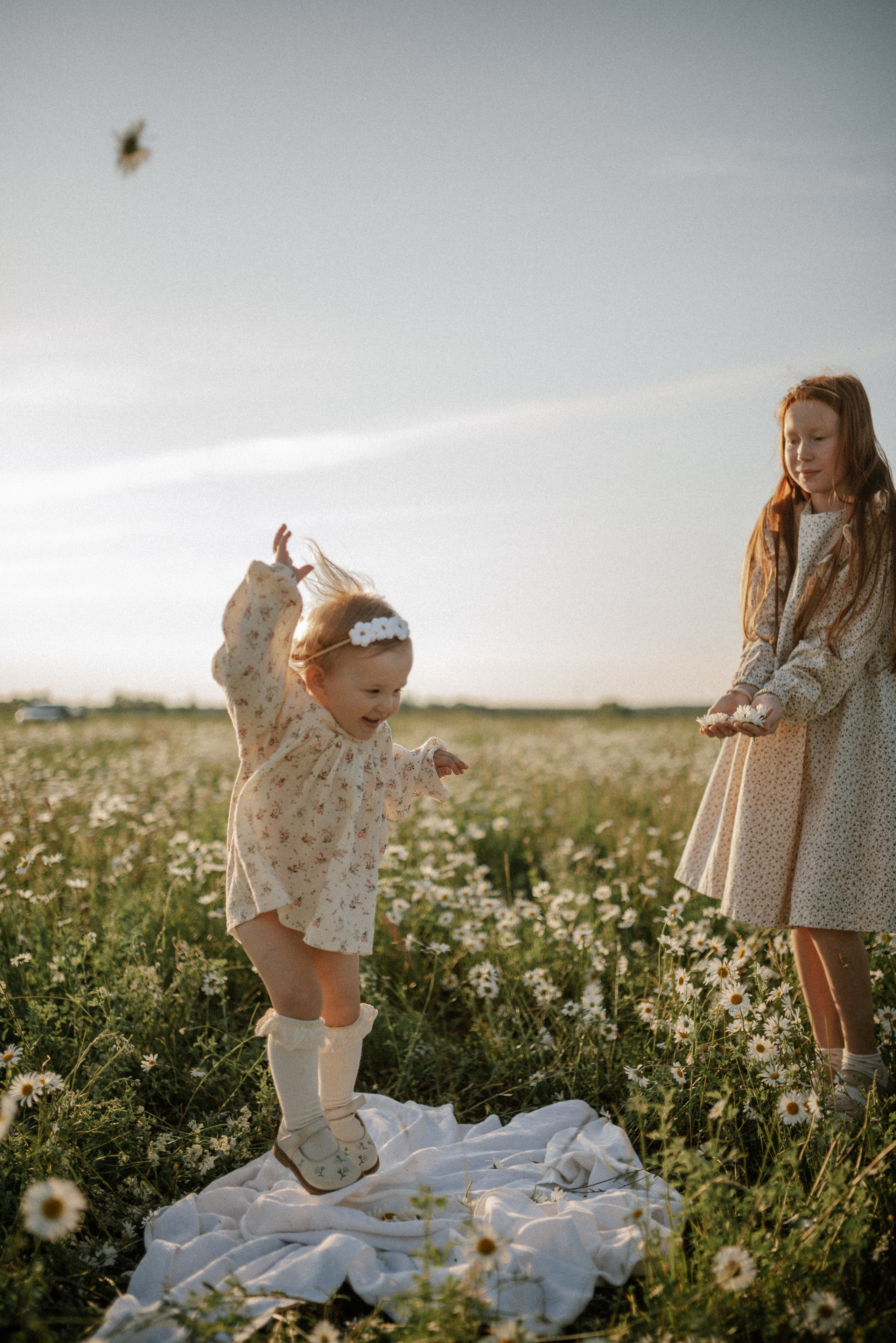 Ида, Мира и ромашки. Свадебный и семейный фотограф Кожевникова Лариса