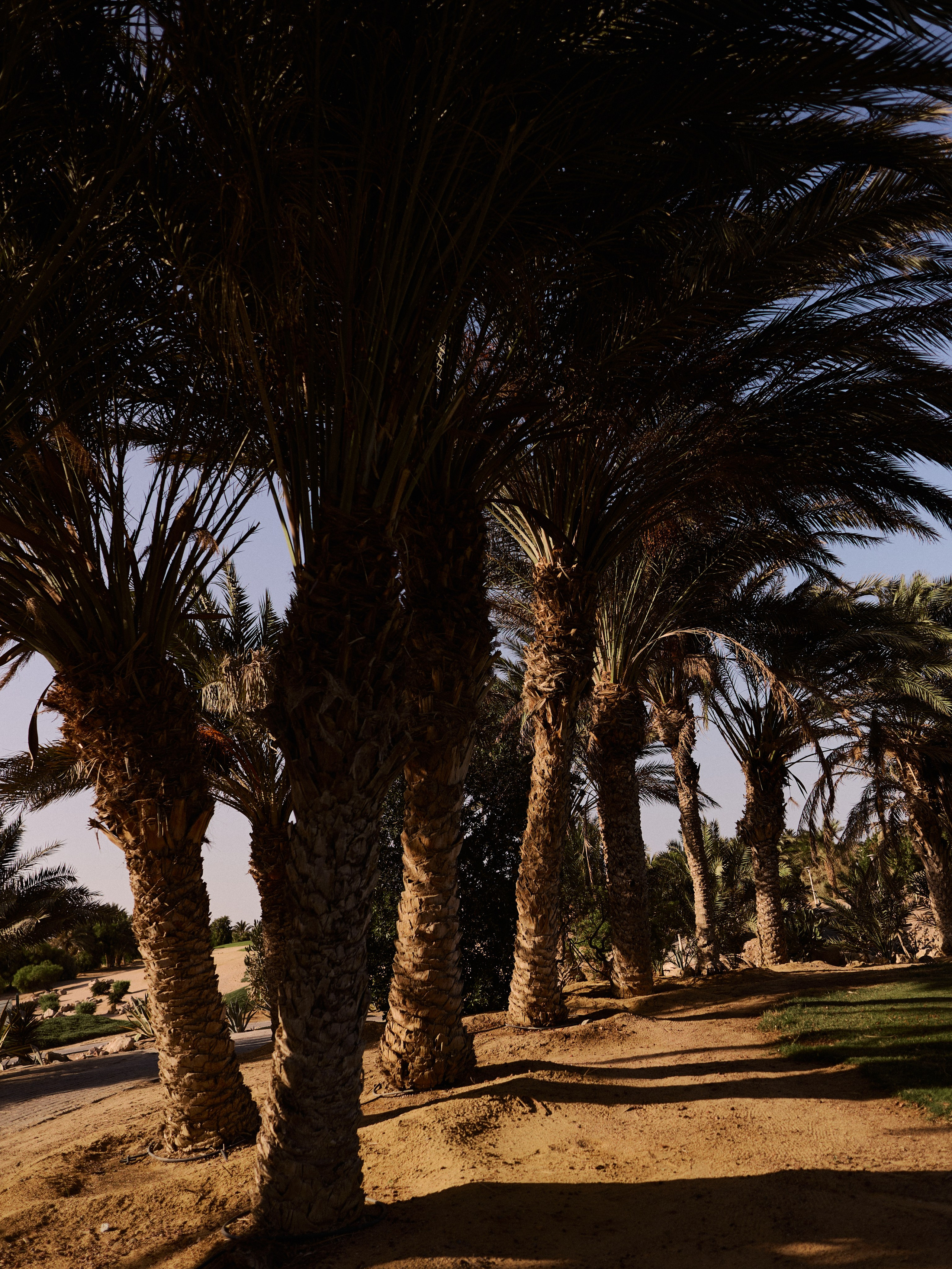 Другое 3. Jorgis Talè — photographer, kind person, teacher of arts and other mag