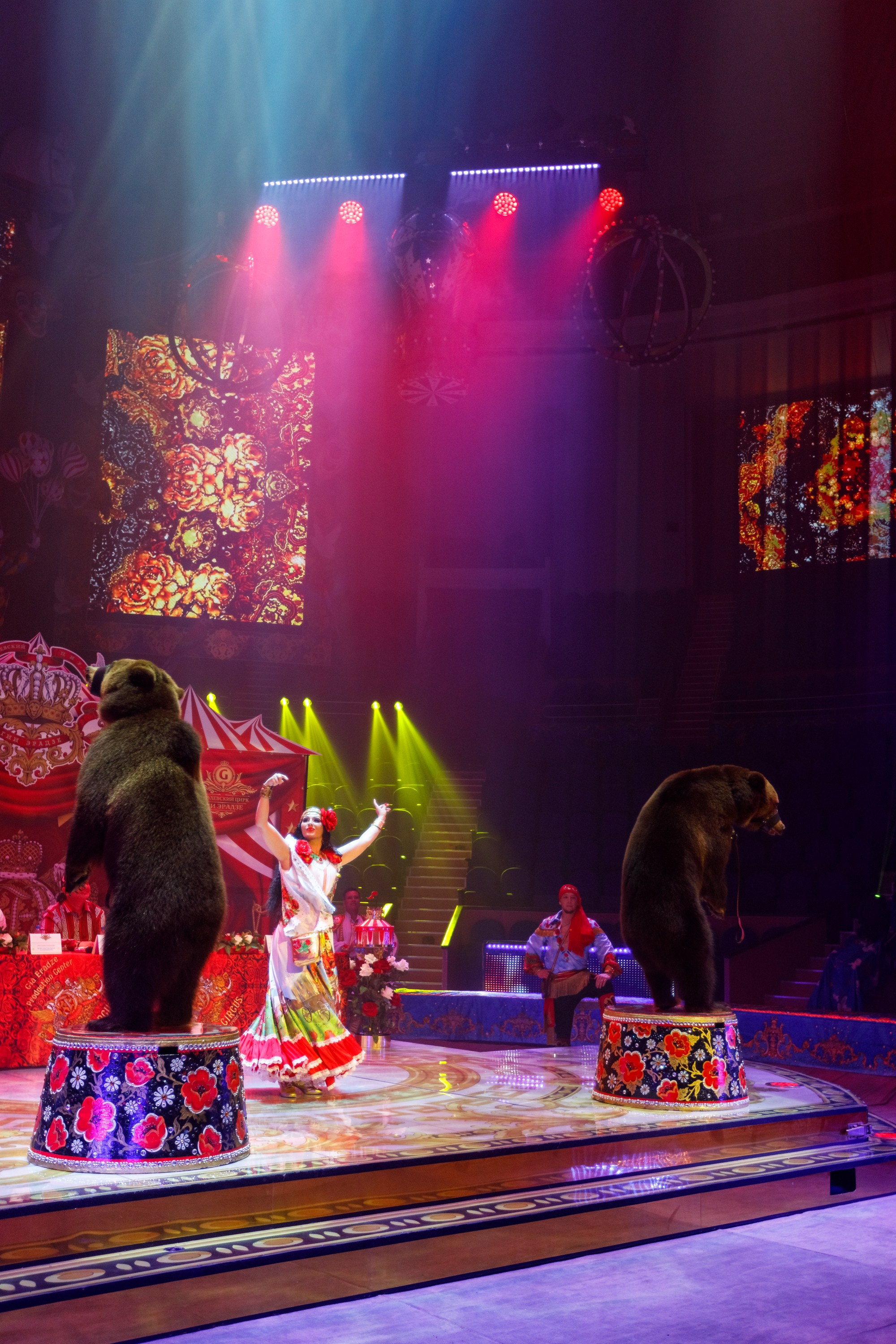 Сочинский росгорцирк Шоу Гии Эрадзе цирк. Профессиональный фотограф в Сочи Виктория Джой. Обучение